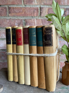 Vintage Neutral/Yellow Book Bundle