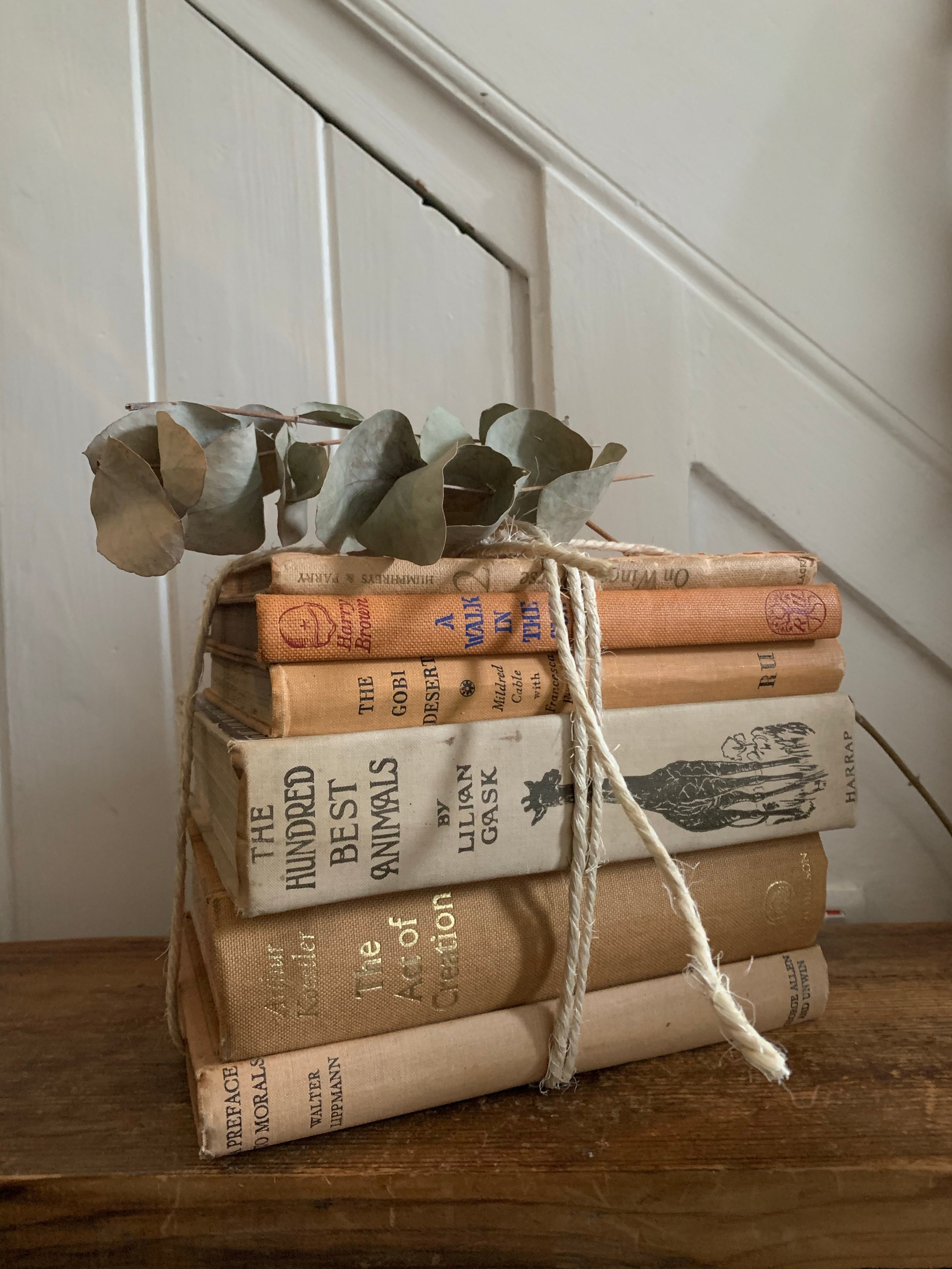 Beige and Orange Book Bundle