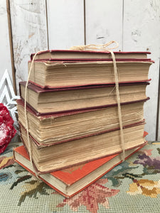 Red Book Bundle