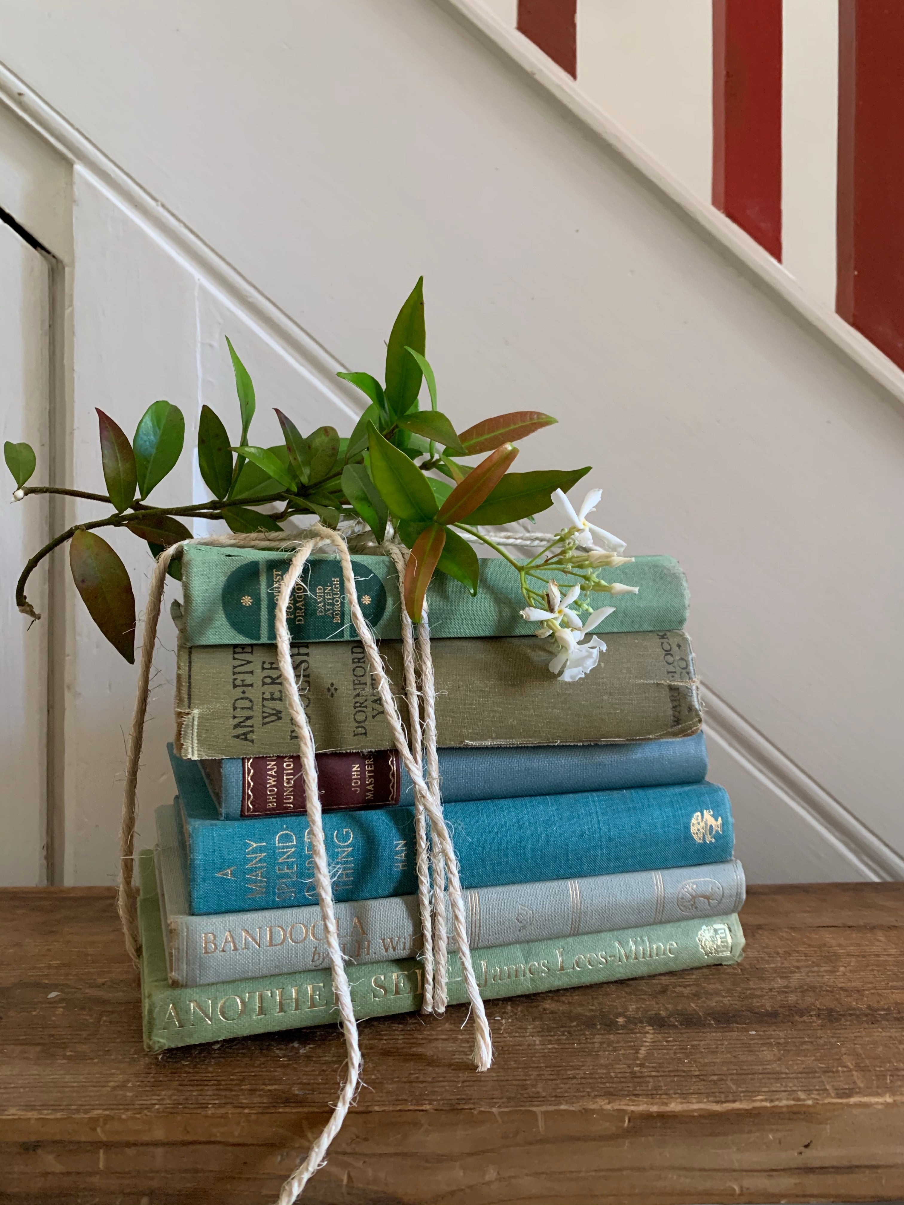Green & Blue Book Bundle