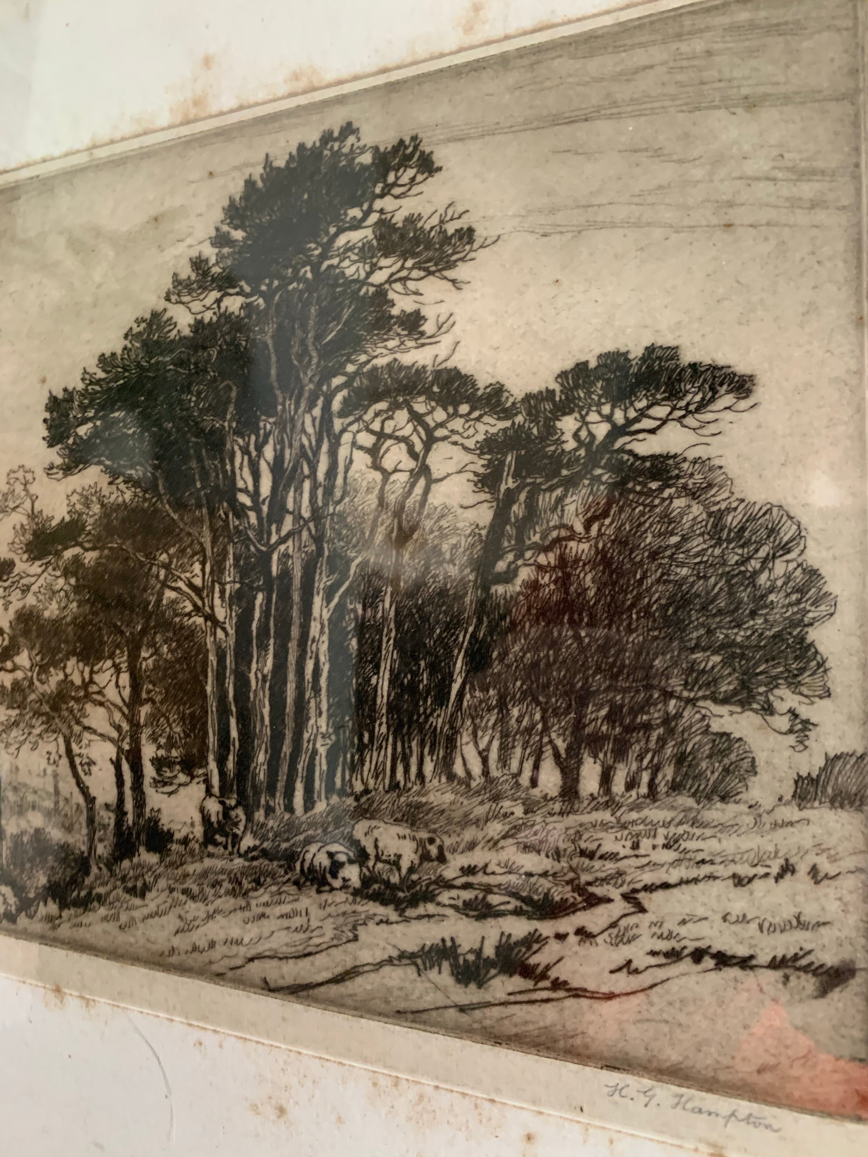 Antique Etching of Animals Sheltering under Trees