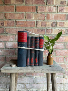 Vintage Black and Red Book Bundle