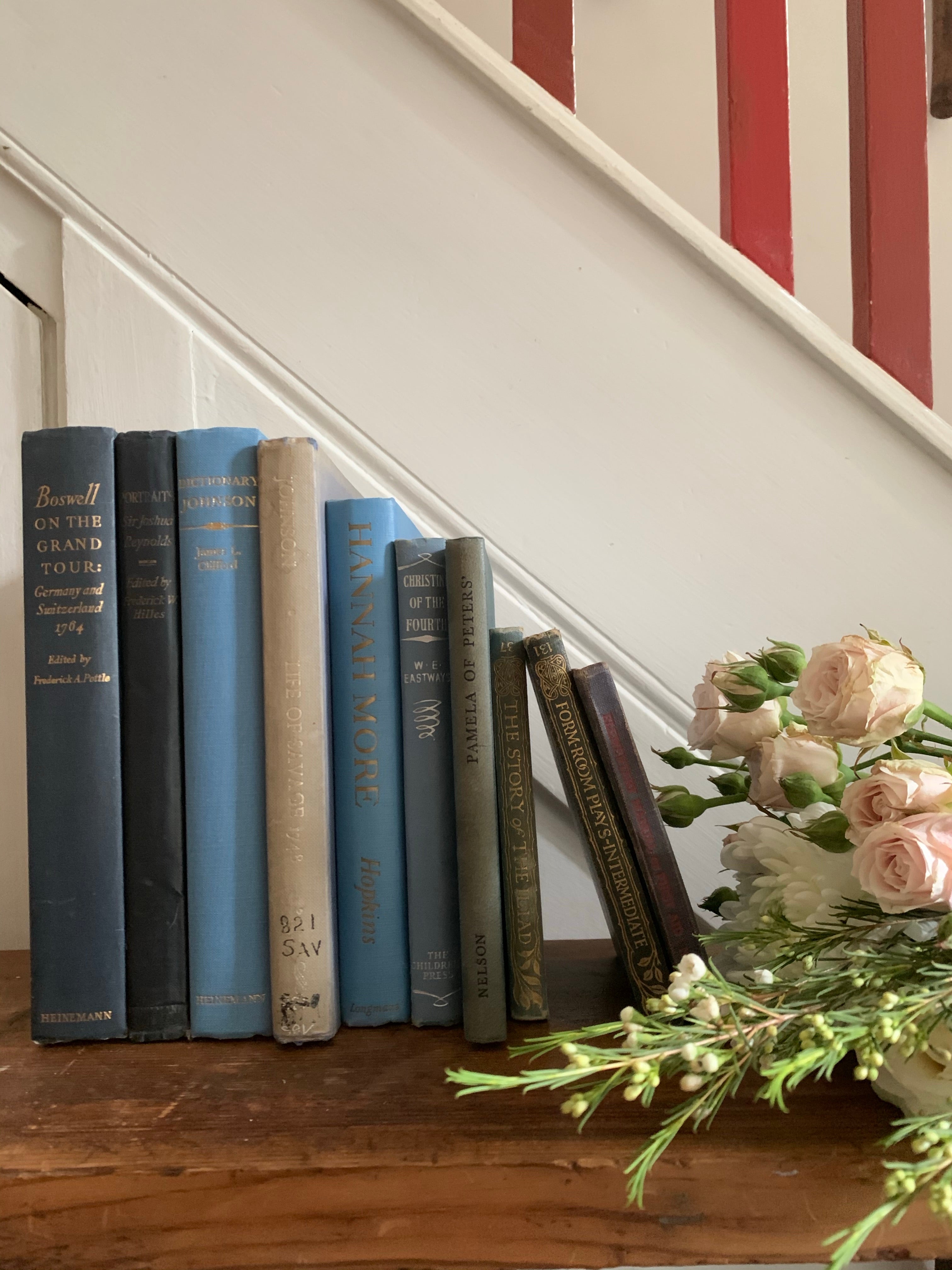 Set of 10 vintage books with blue covers