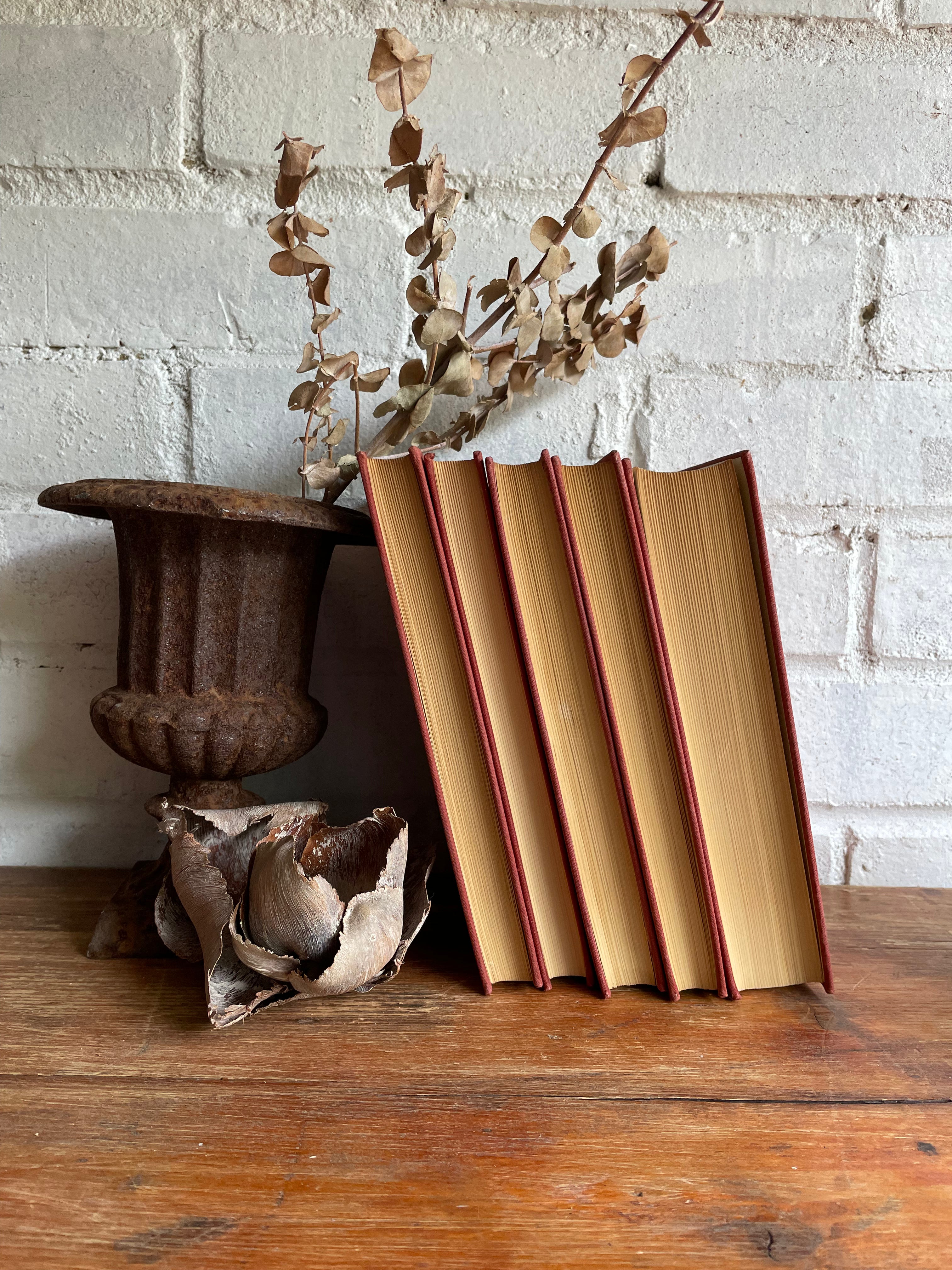 Bernard Shaw Book Bundle