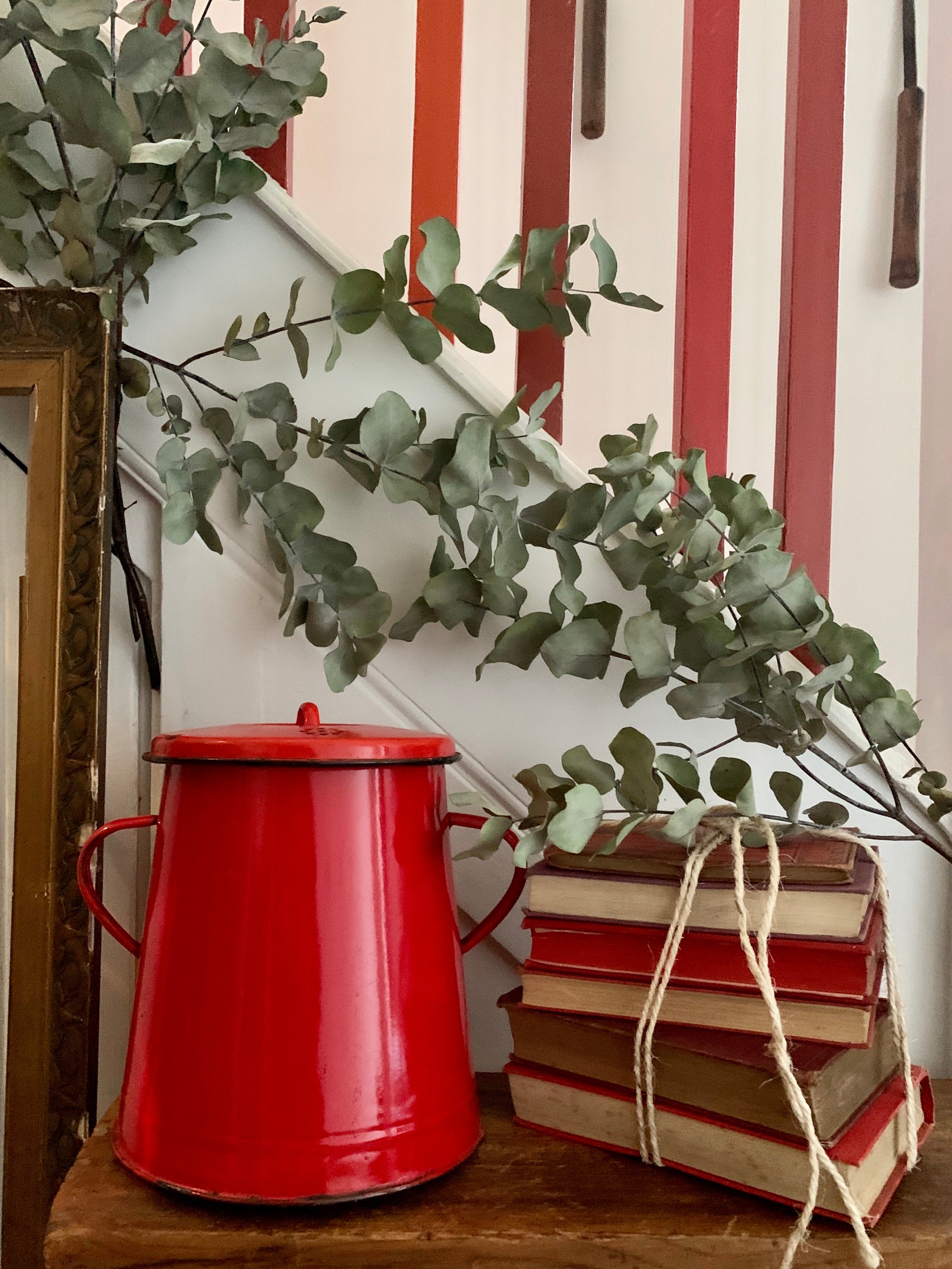 Large Red Enamel Storage Pot
