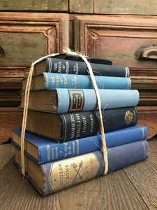 Blue Book Bundle