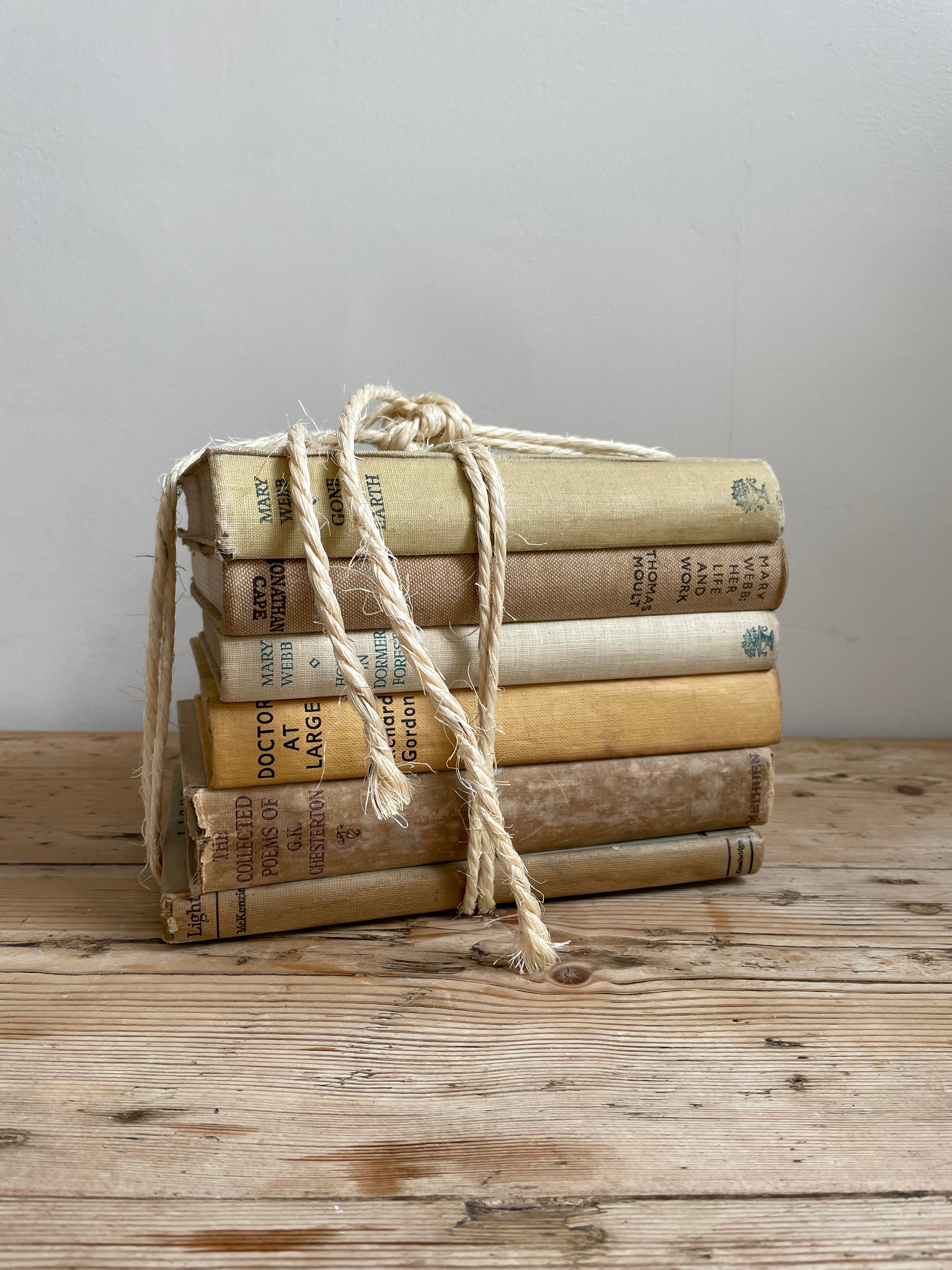 Beige Book Bundle