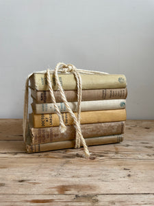 Beige Book Bundle