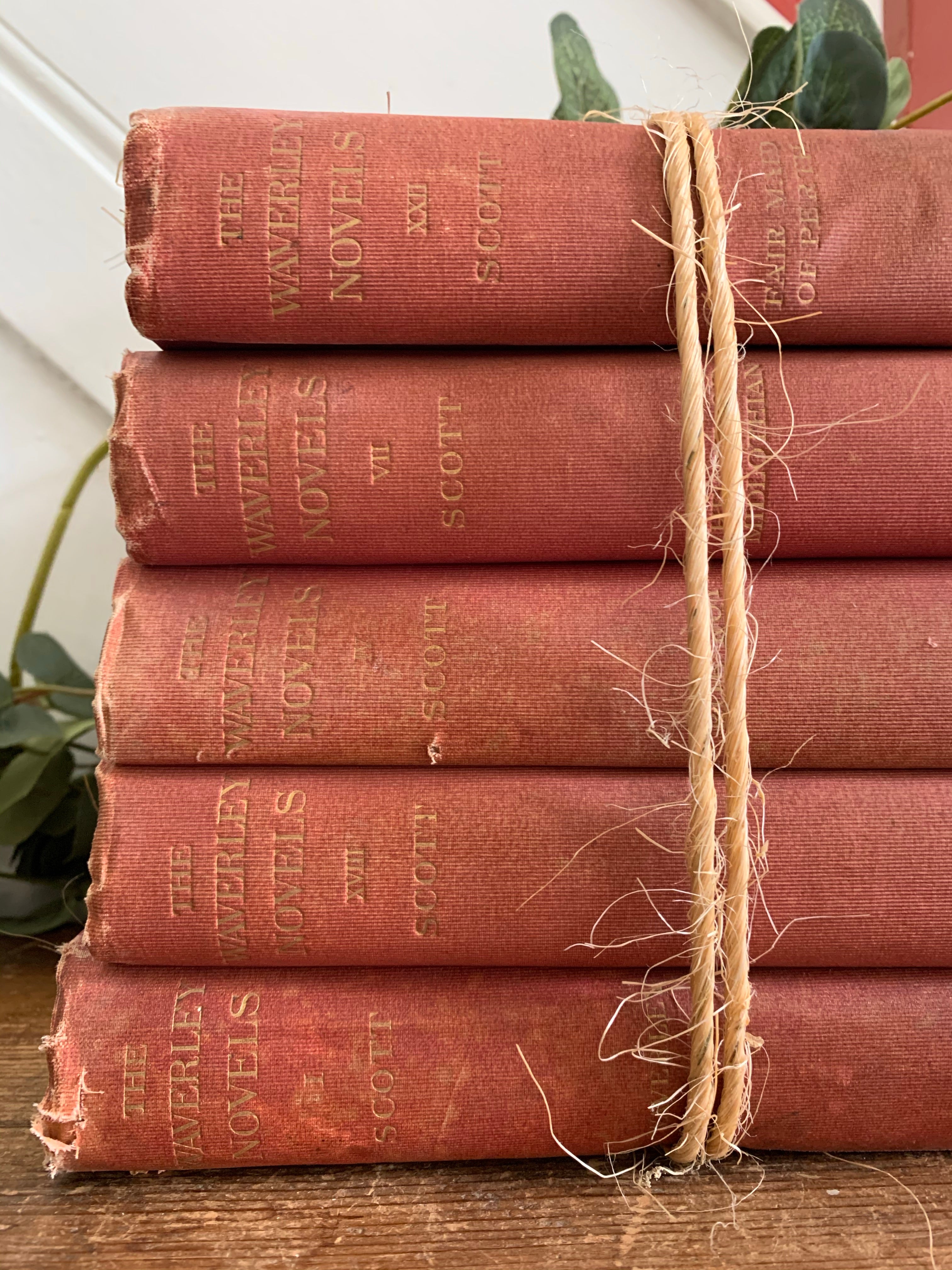Red Book Bundle: The Waverley Novels