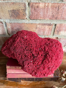Old Red Coral Specimen