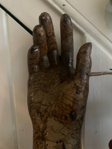 Sculptural Model Hand