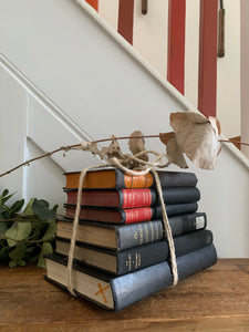 Black Book Bundle 2
