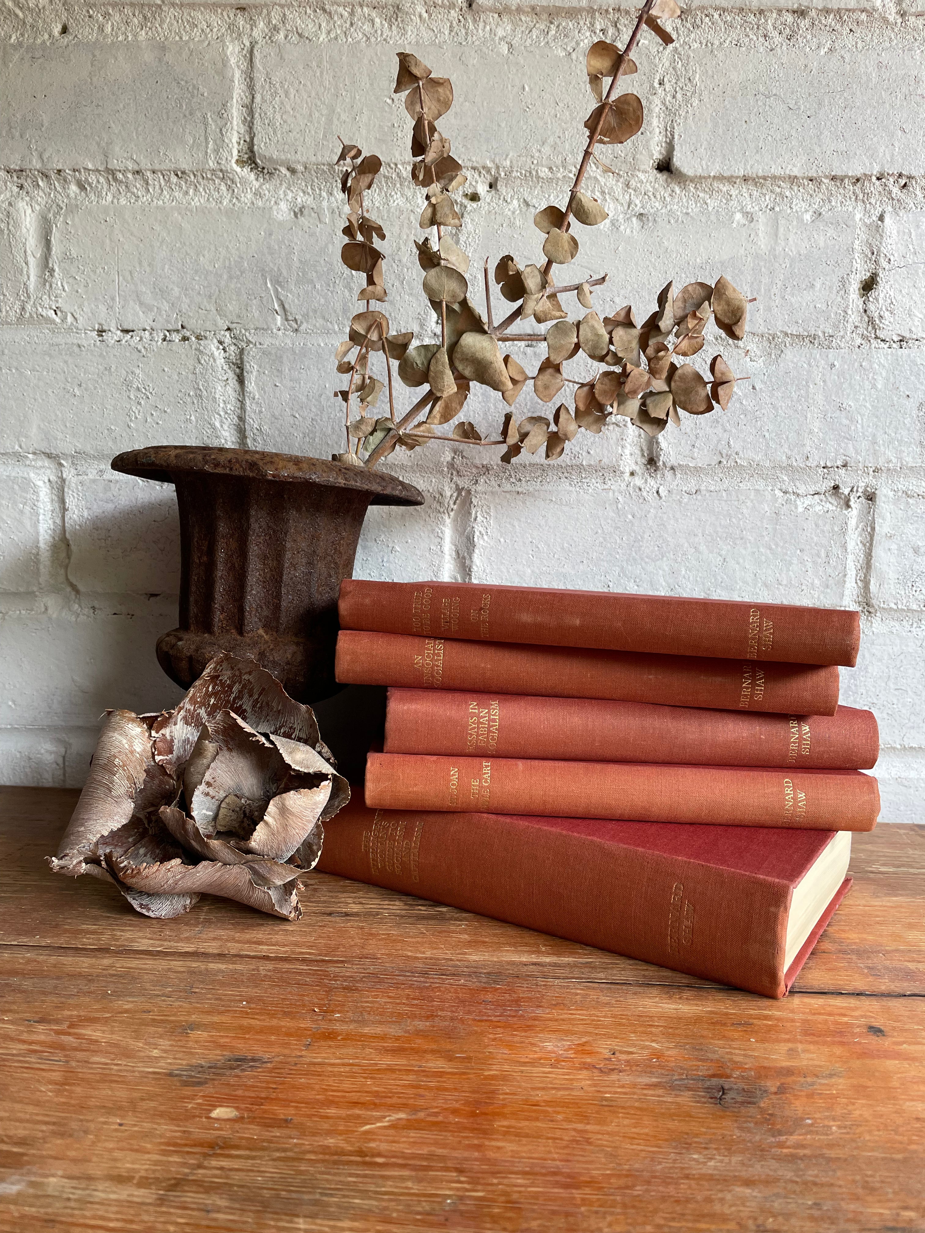 Bernard Shaw Book Bundle