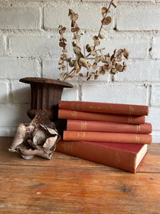Bernard Shaw Book Bundle