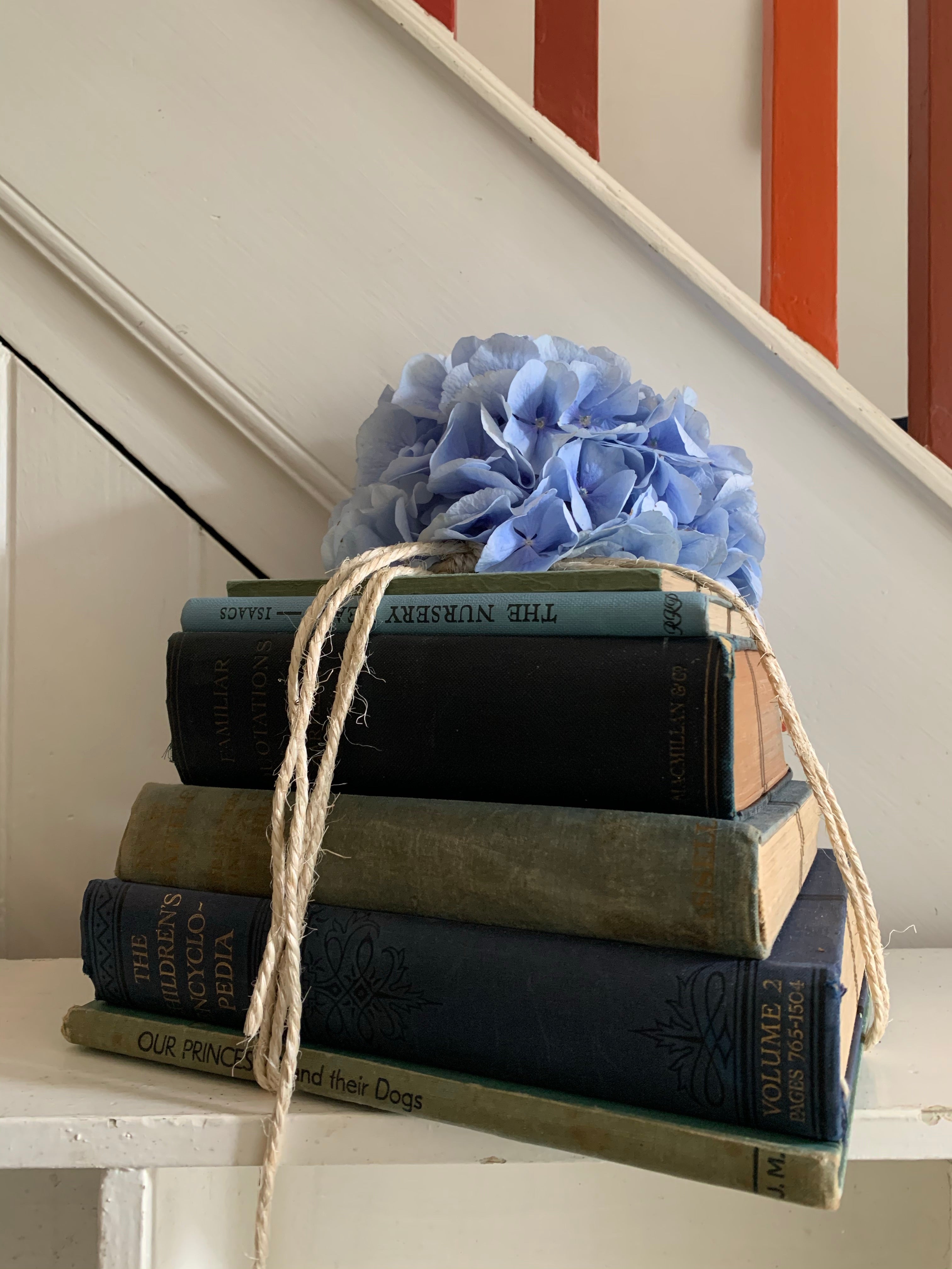 Blue Book Bundle
