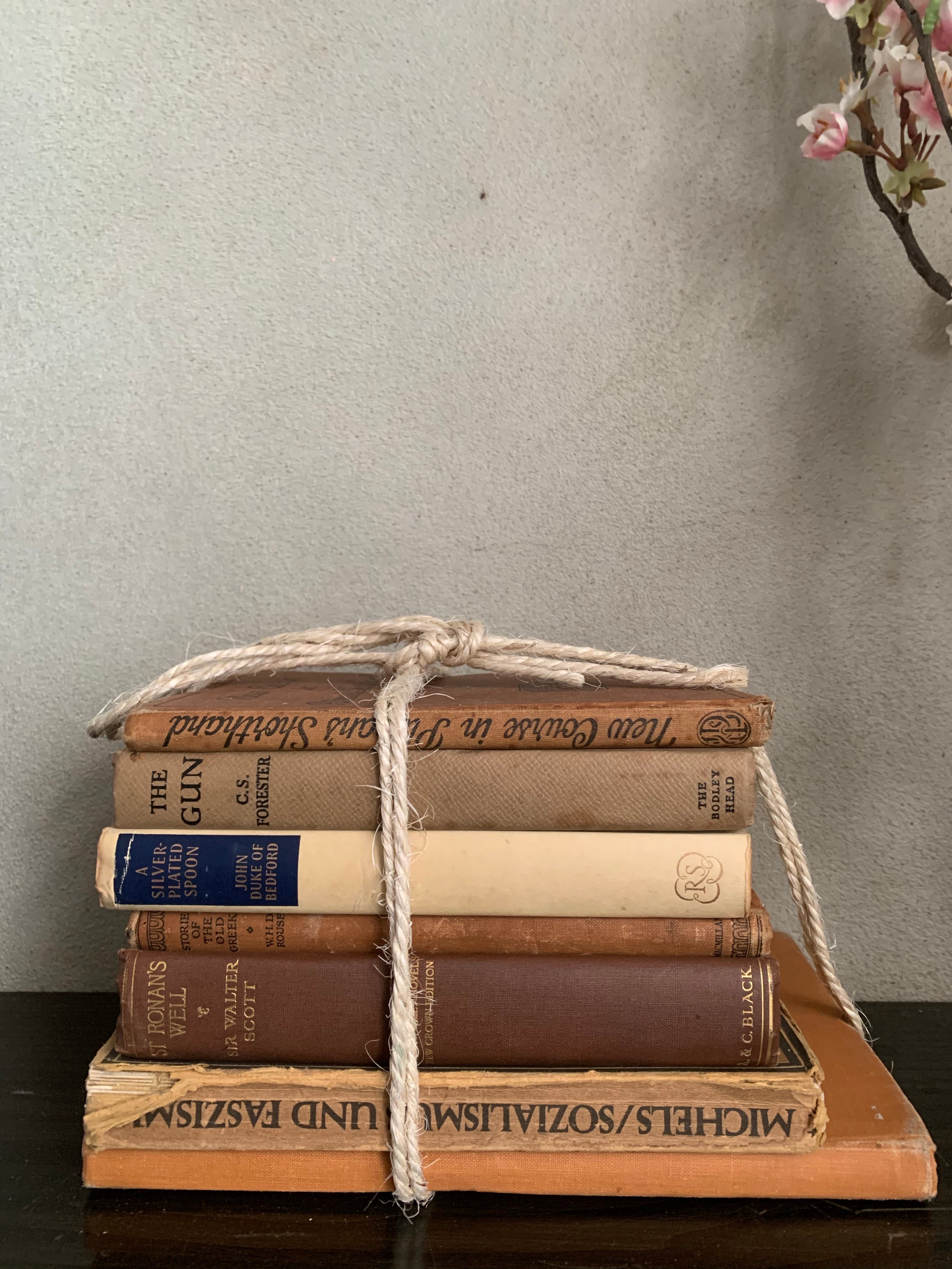 Neutral Shades Book Bundle