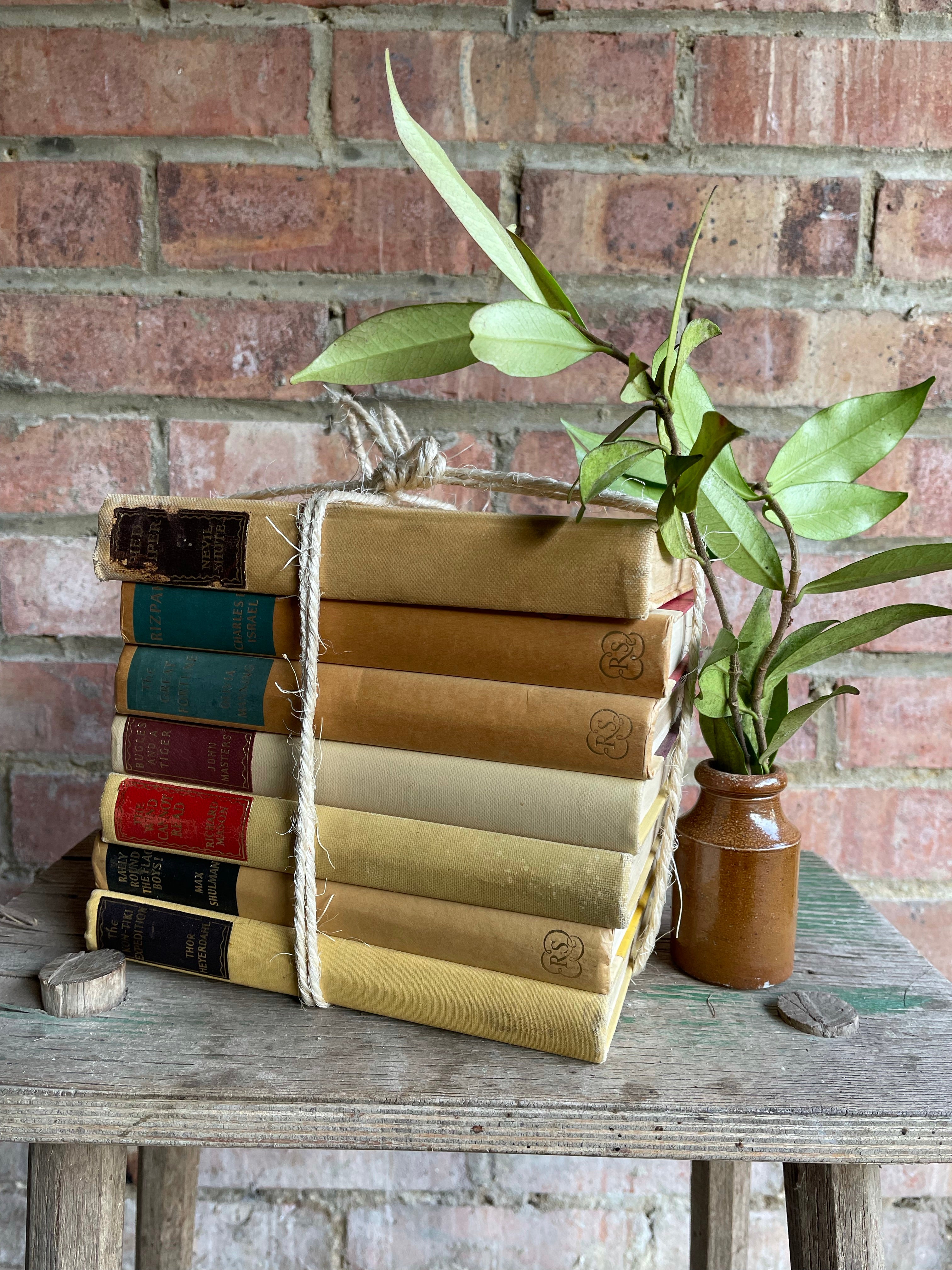 Vintage Neutral/Yellow Book Bundle