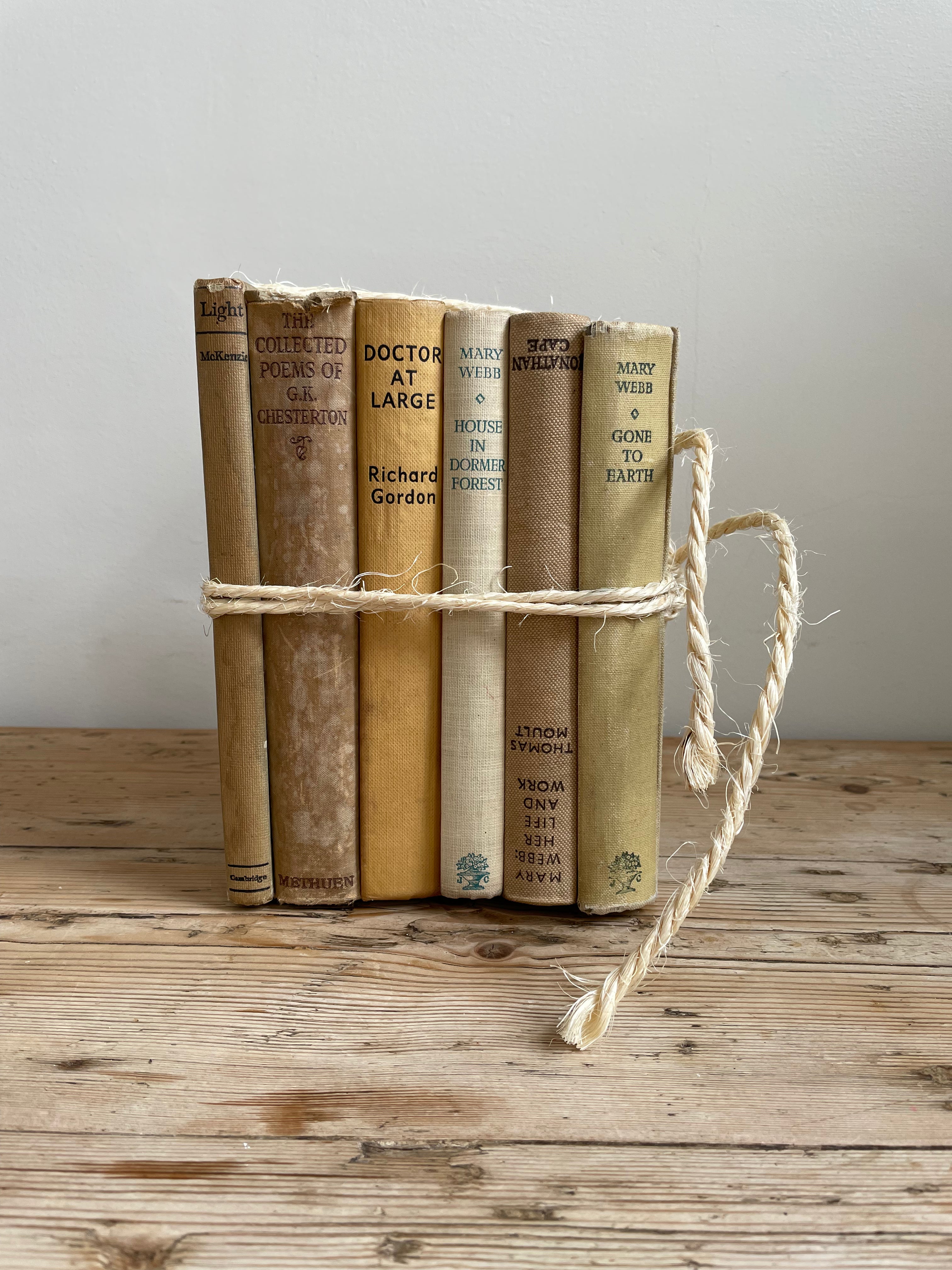 Beige Book Bundle
