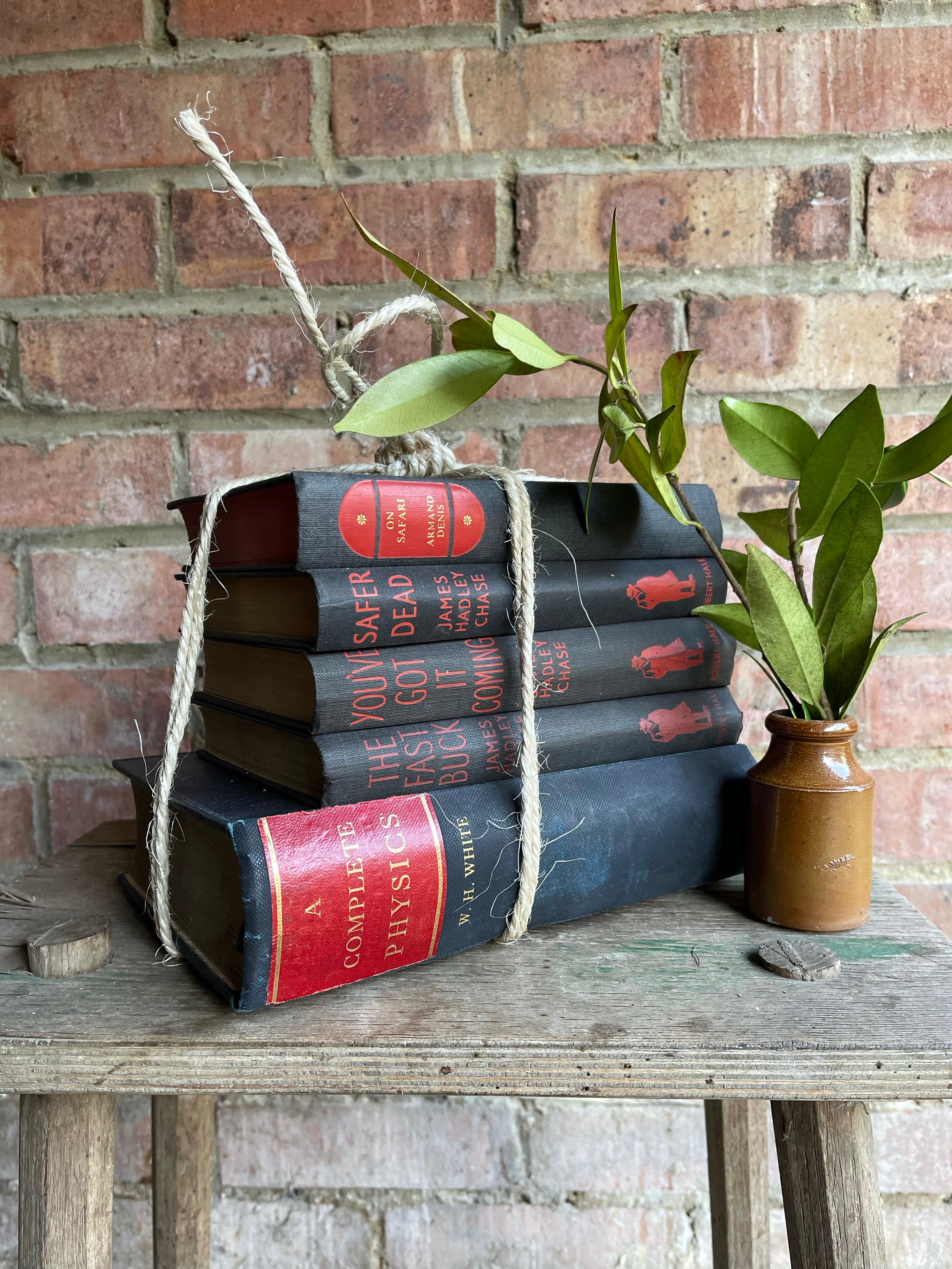 Vintage Black and Red Book Bundle