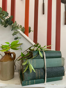 Green Book Bundle 1