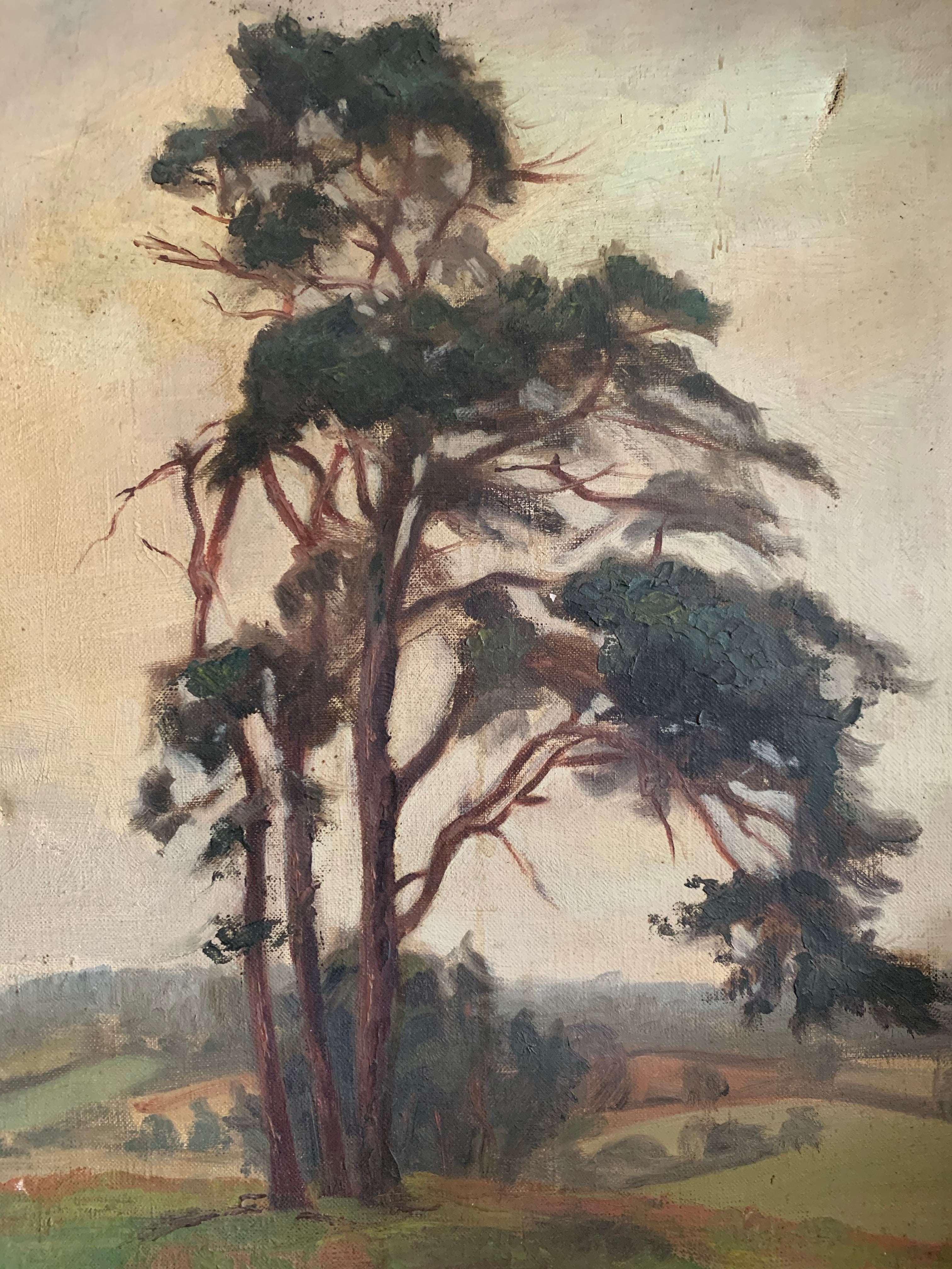 Moody Tree:  Antique Oil on Canvas signed 1915