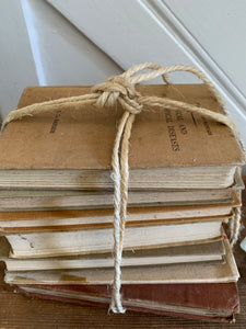 Beige Book Bundle
