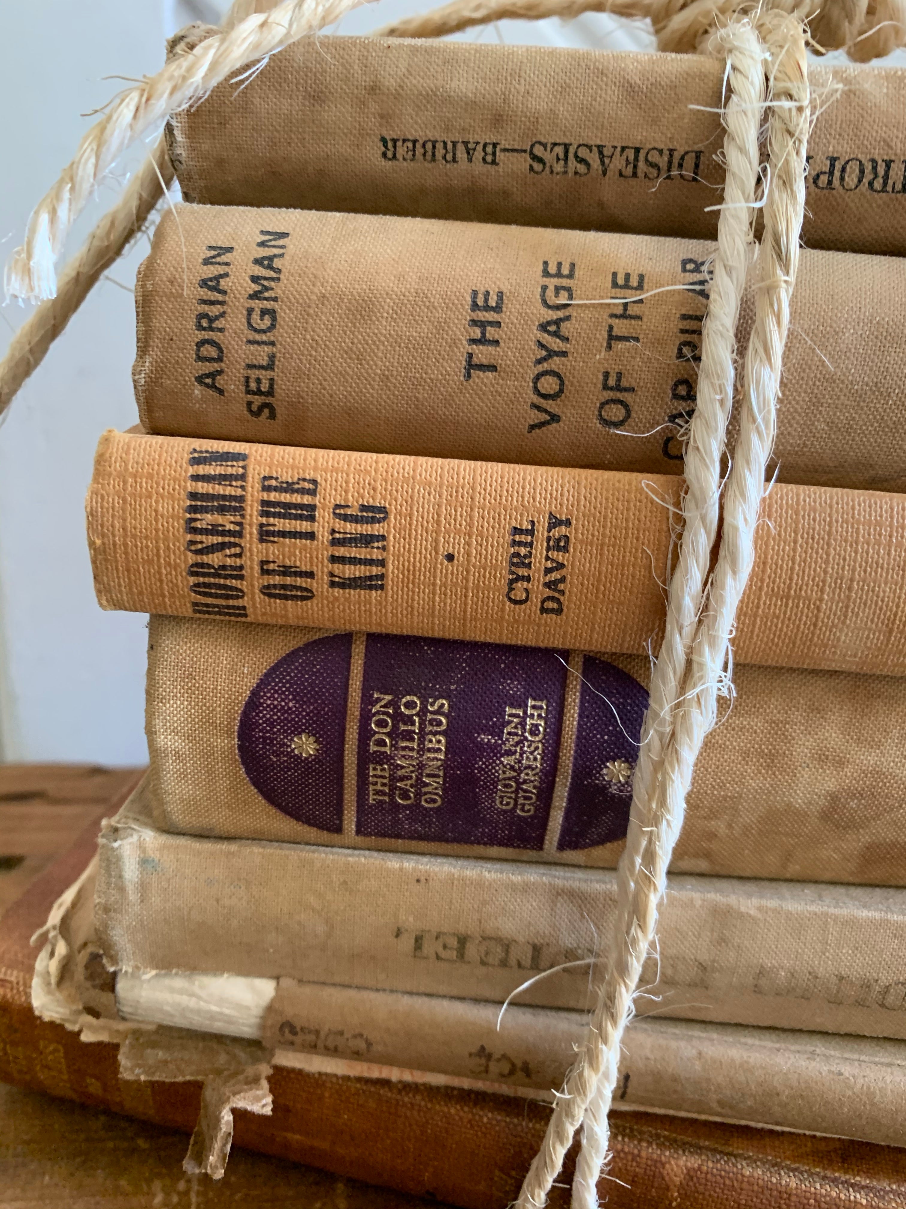 Beige Book Bundle