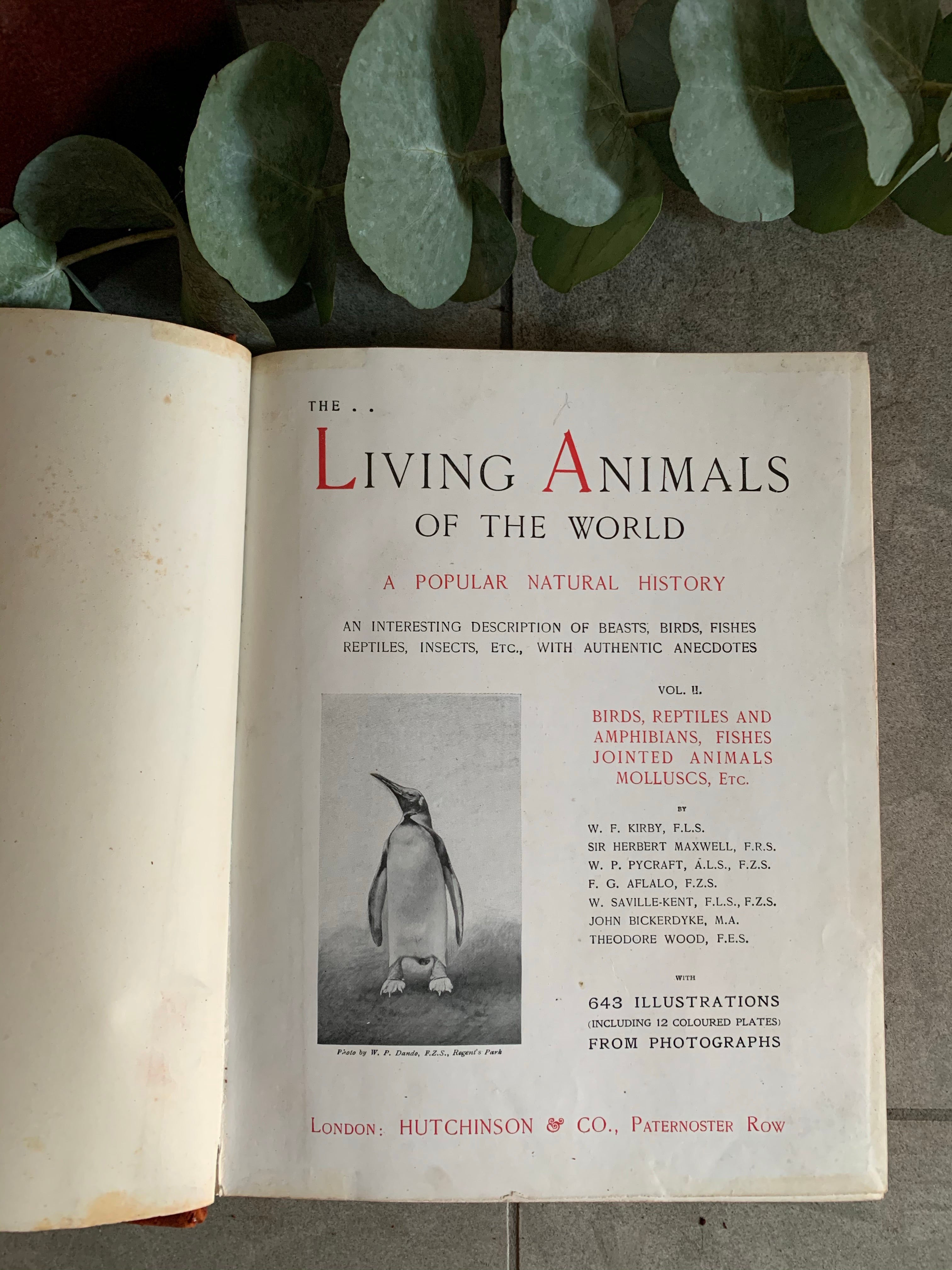 1950s Animal Encyclopaedia with Leather Spine