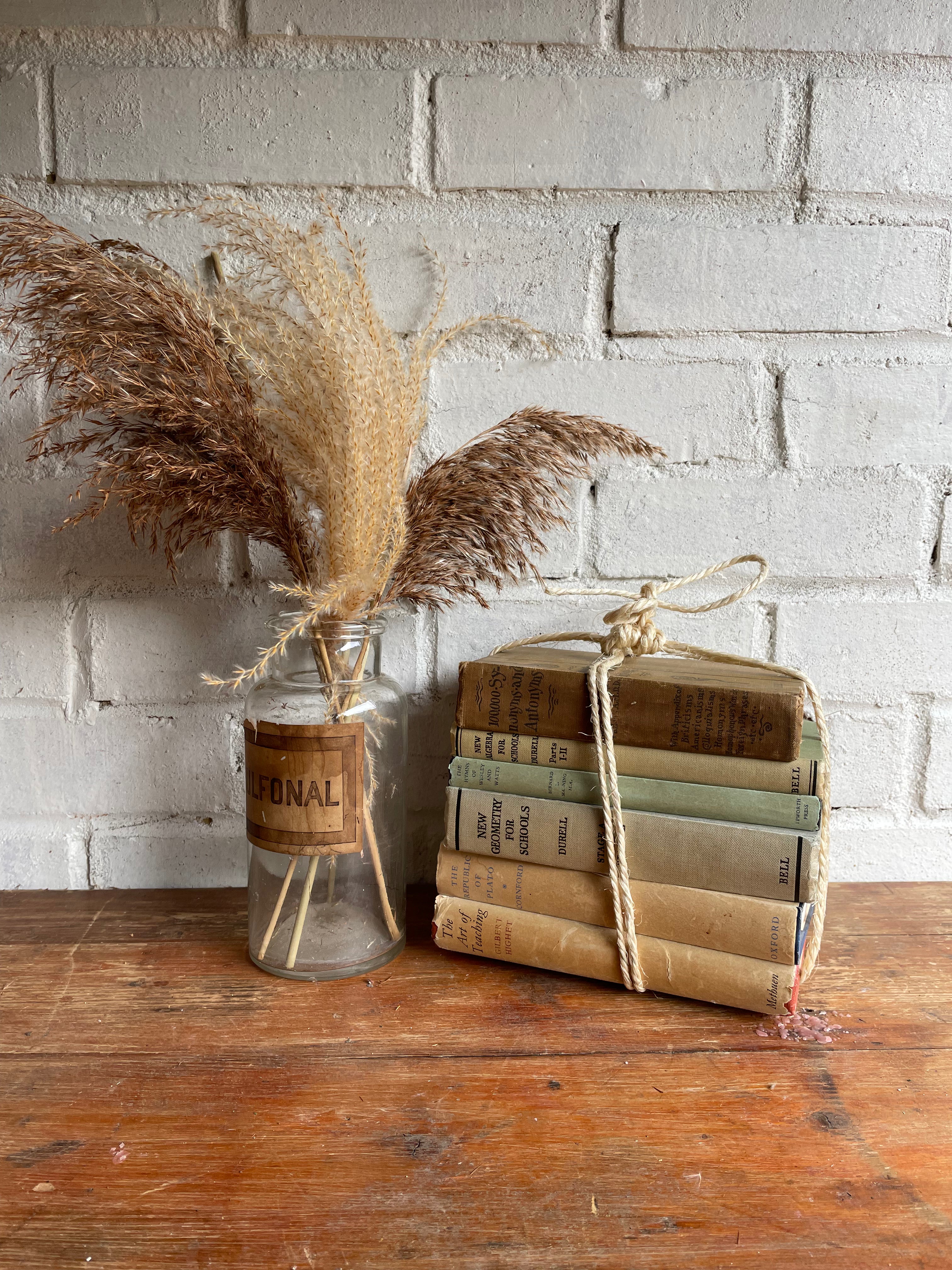 Beige Book Bundle