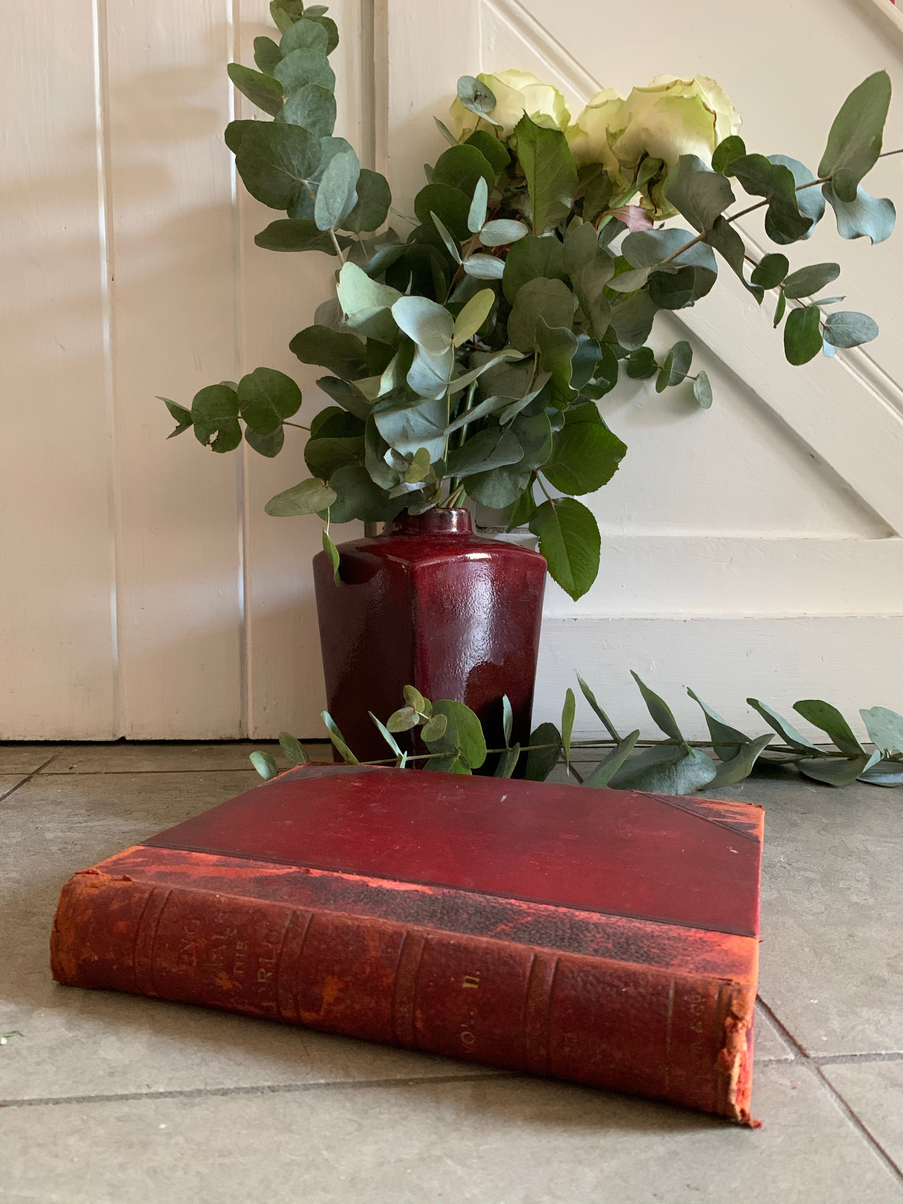 1950s Animal Encyclopaedia with Leather Spine