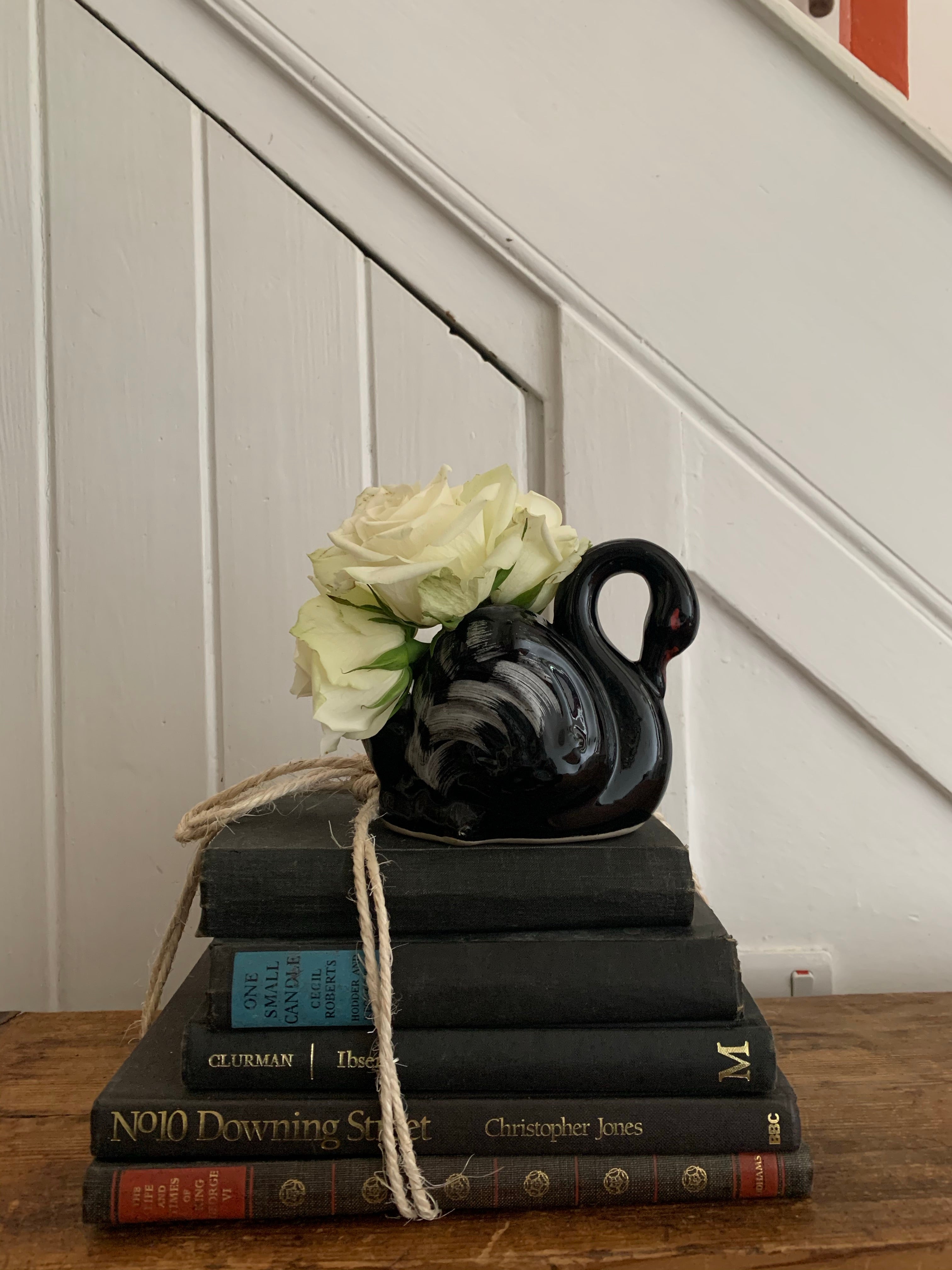 Black Hues Book Bundle
