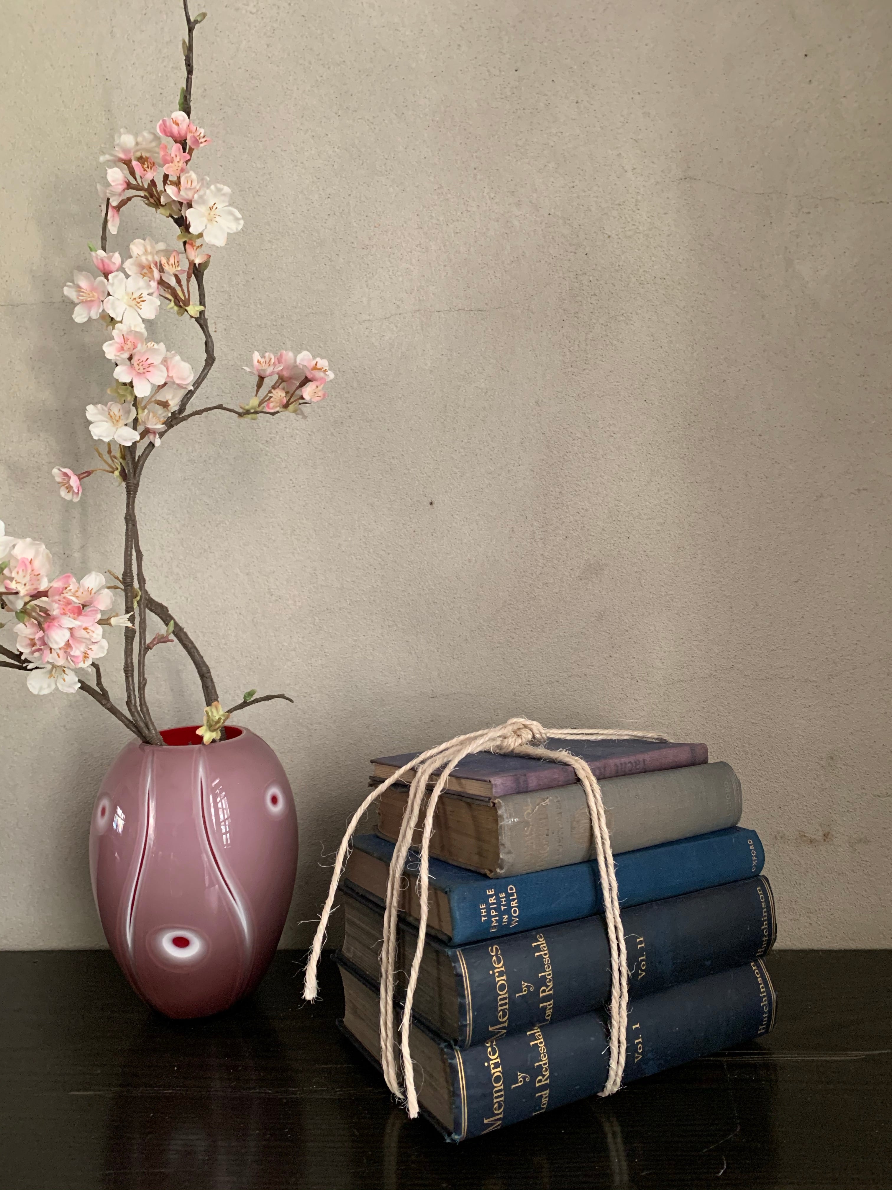 Blue Hues Book Bundle