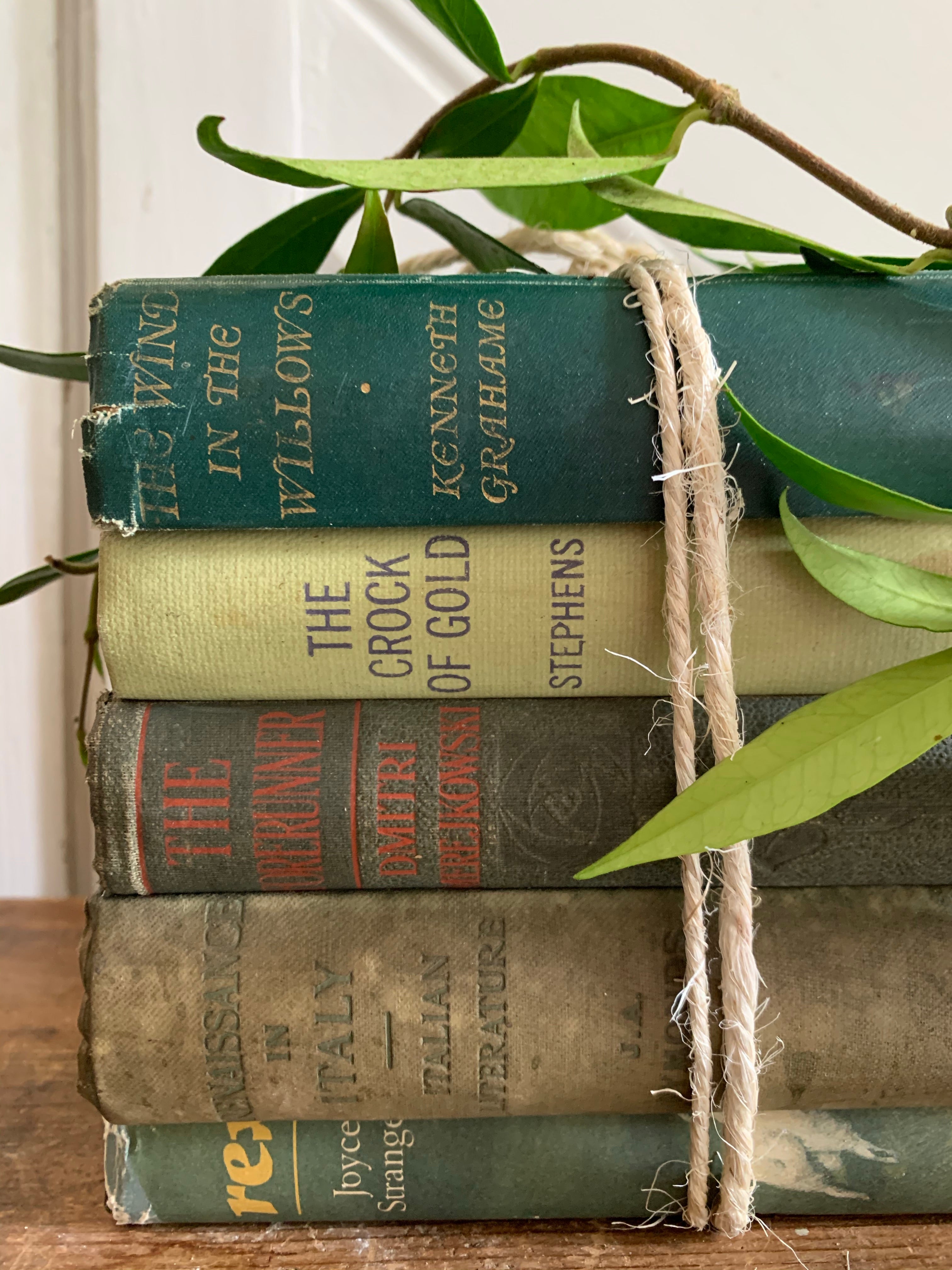 Green Book Bundle 2