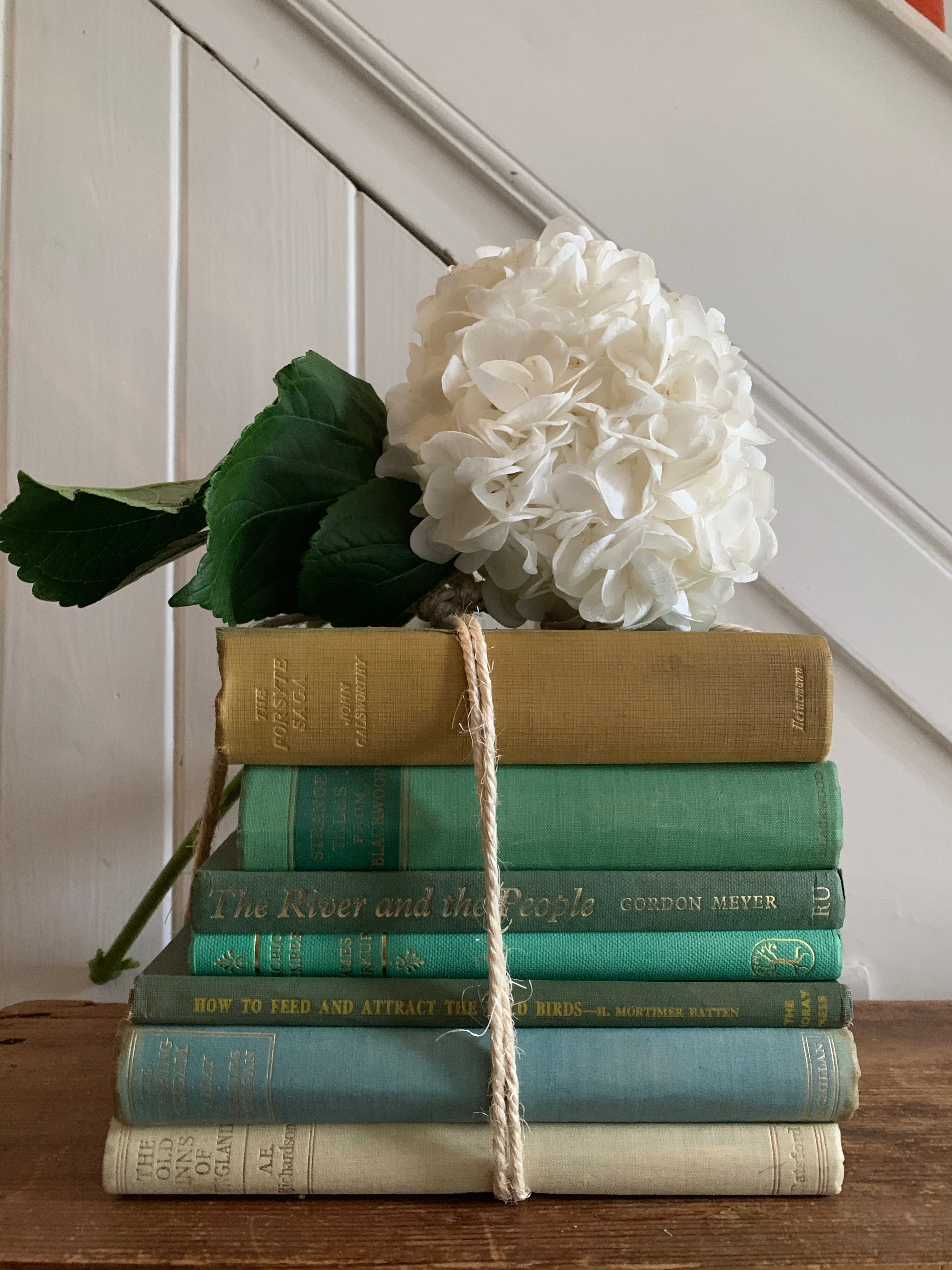 Shades of Green Book Bundle