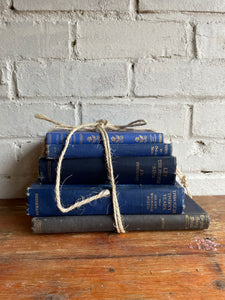 Blue Book Bundle
