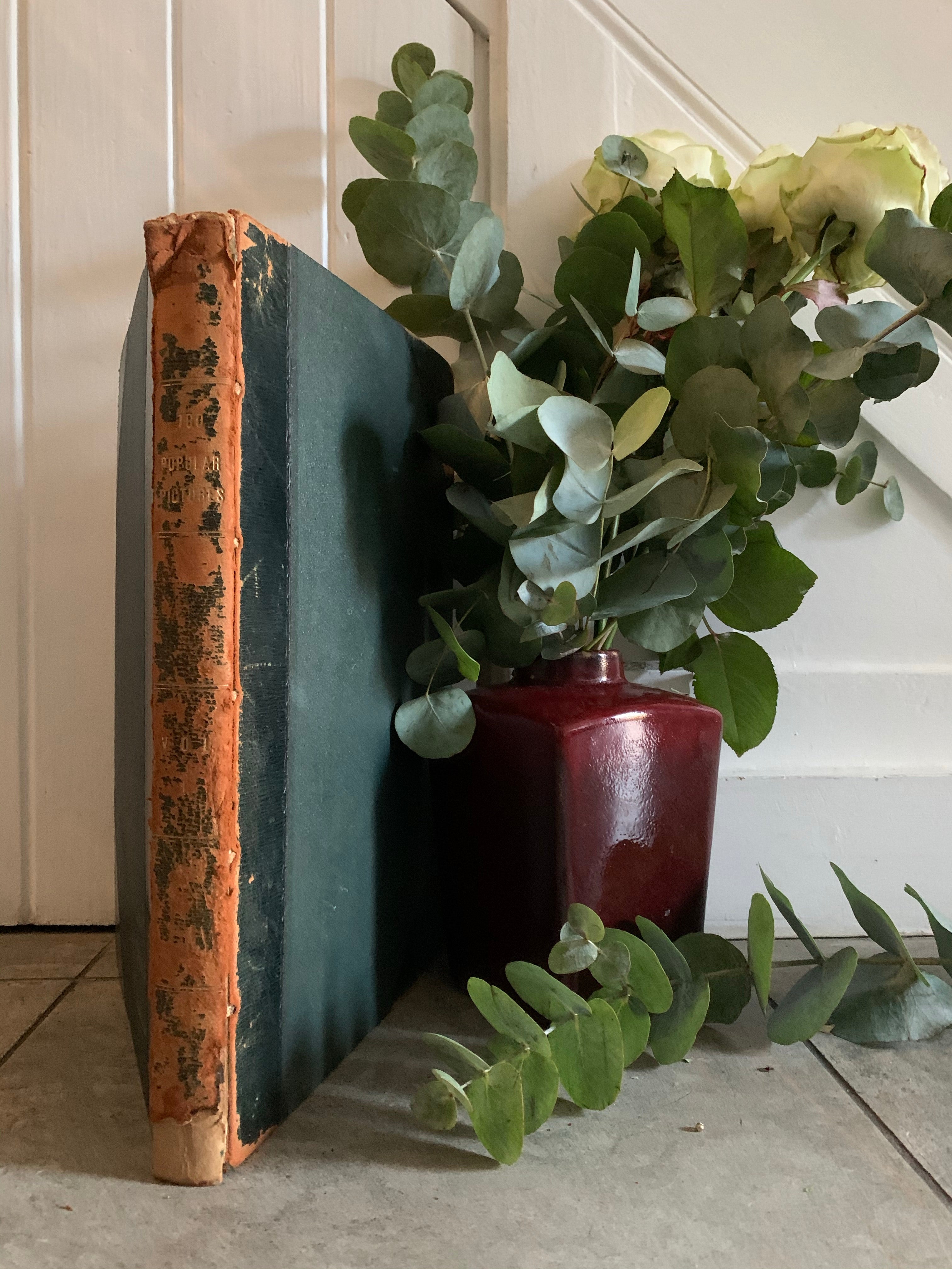 Large 1900s “Coffee Table” Book with Leather Spine
