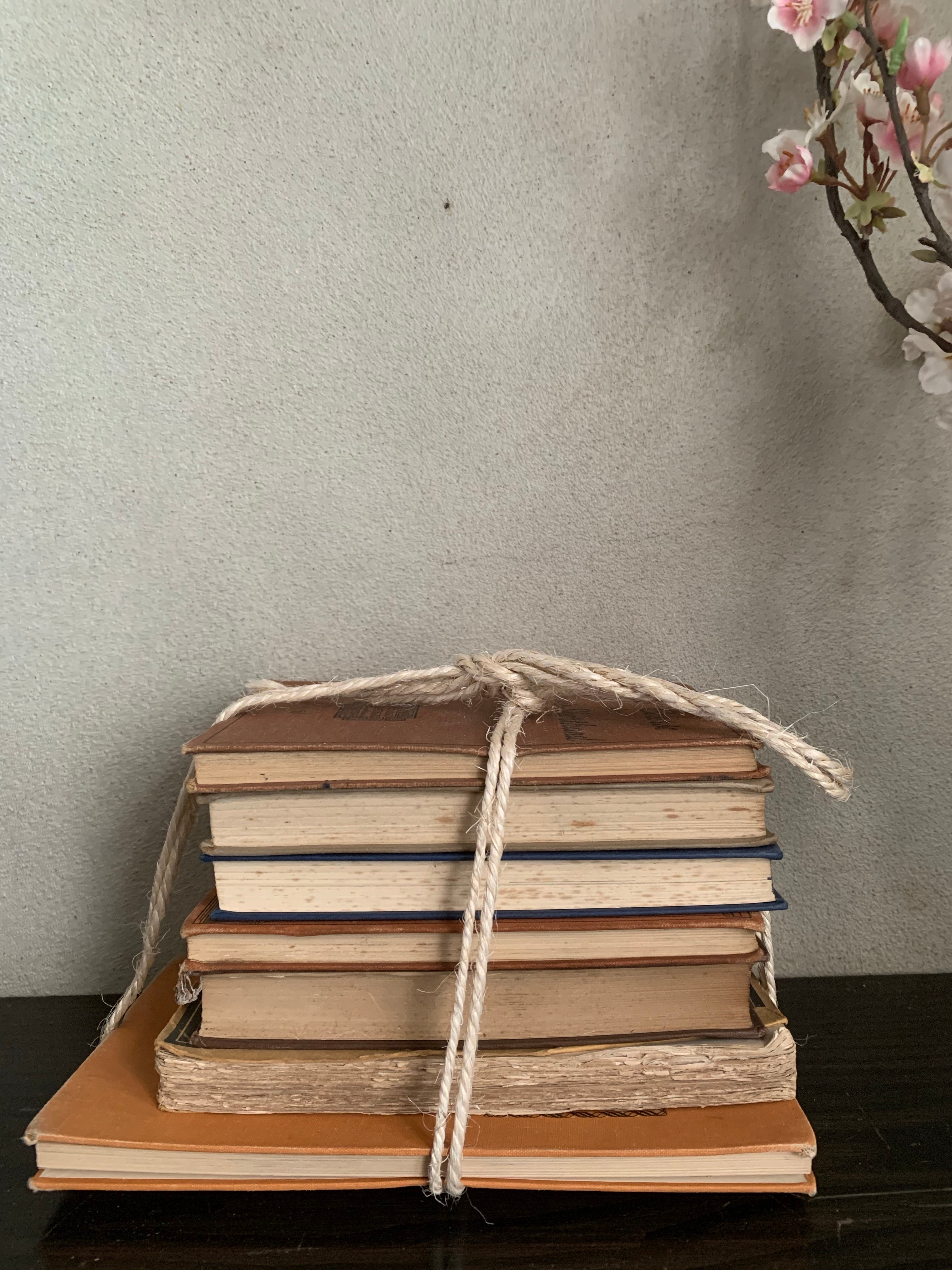 Neutral Shades Book Bundle