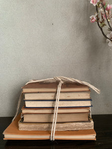 Neutral Shades Book Bundle