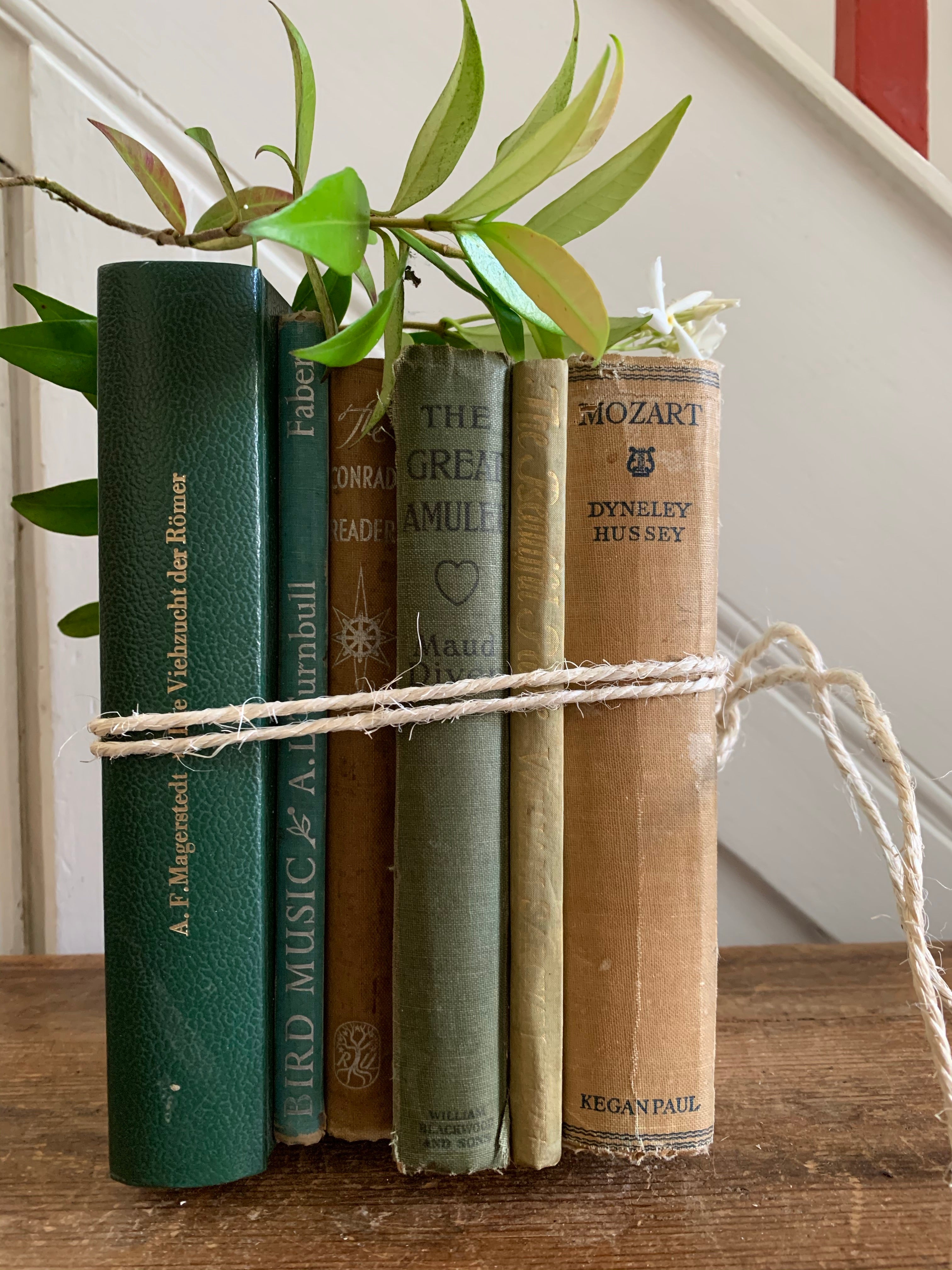 Green Book Bundle