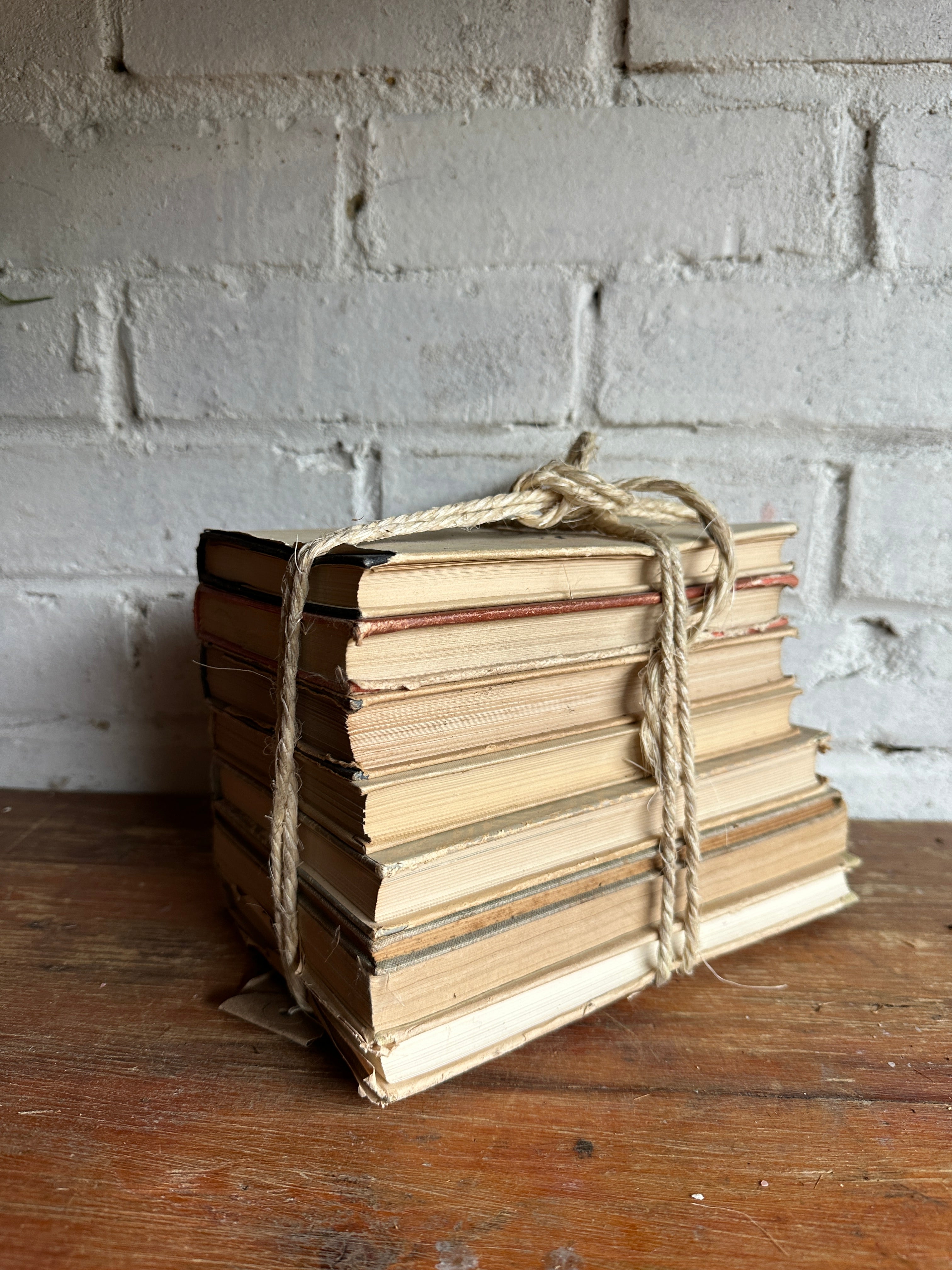 Beige Book Bundle