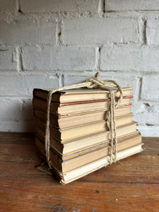 Beige Book Bundle
