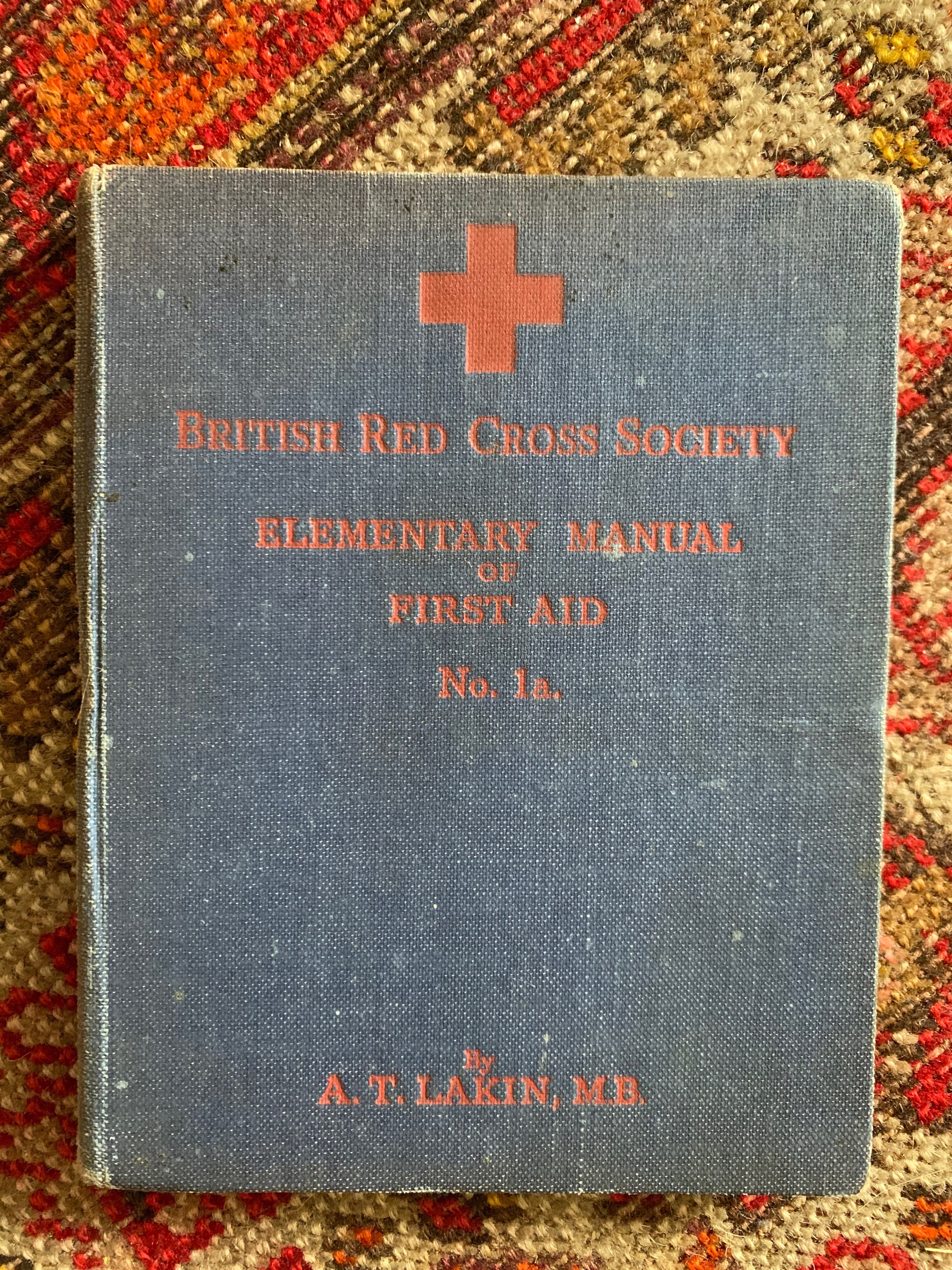 Set of 10 vintage books with blue covers