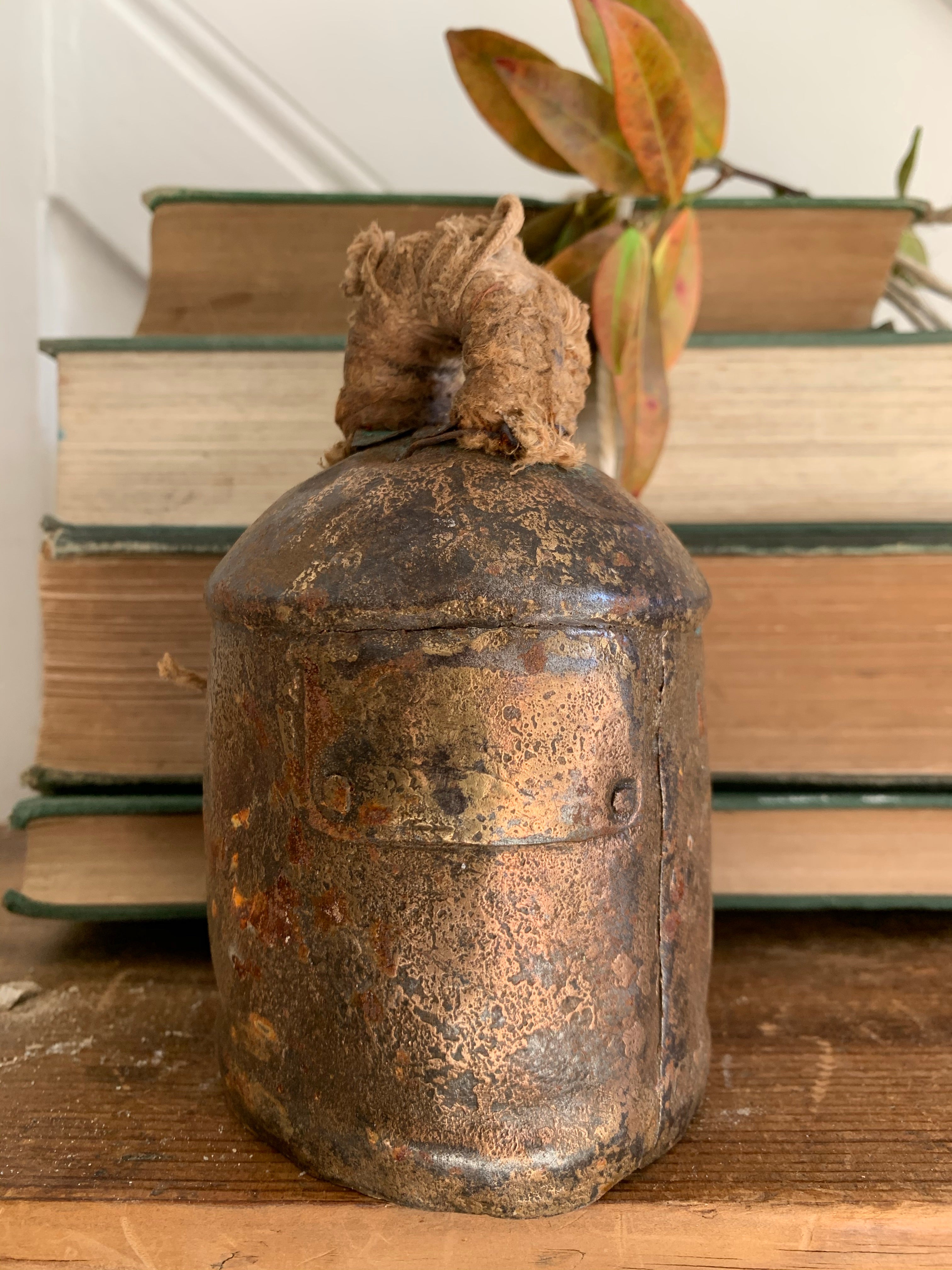 Old Iron Cow Bell 1