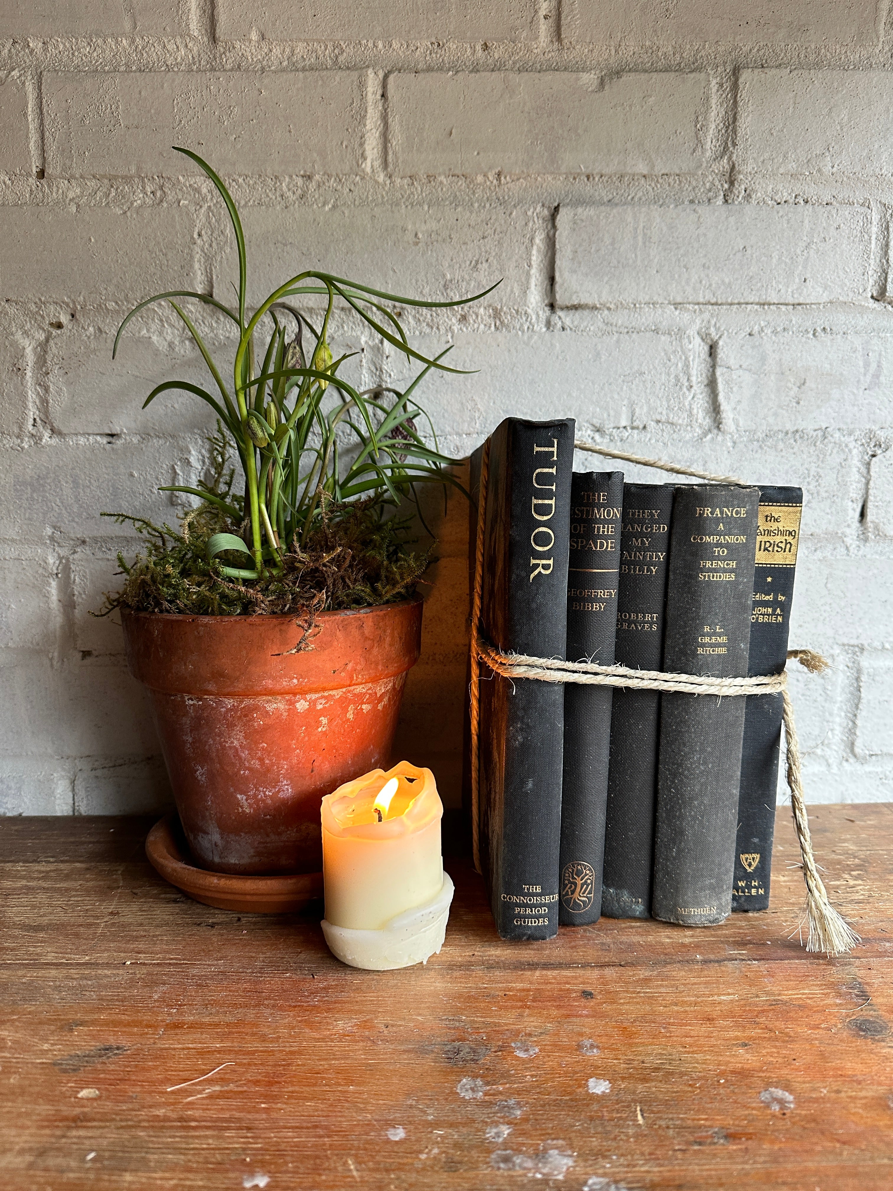 Off-Black Book Bundle
