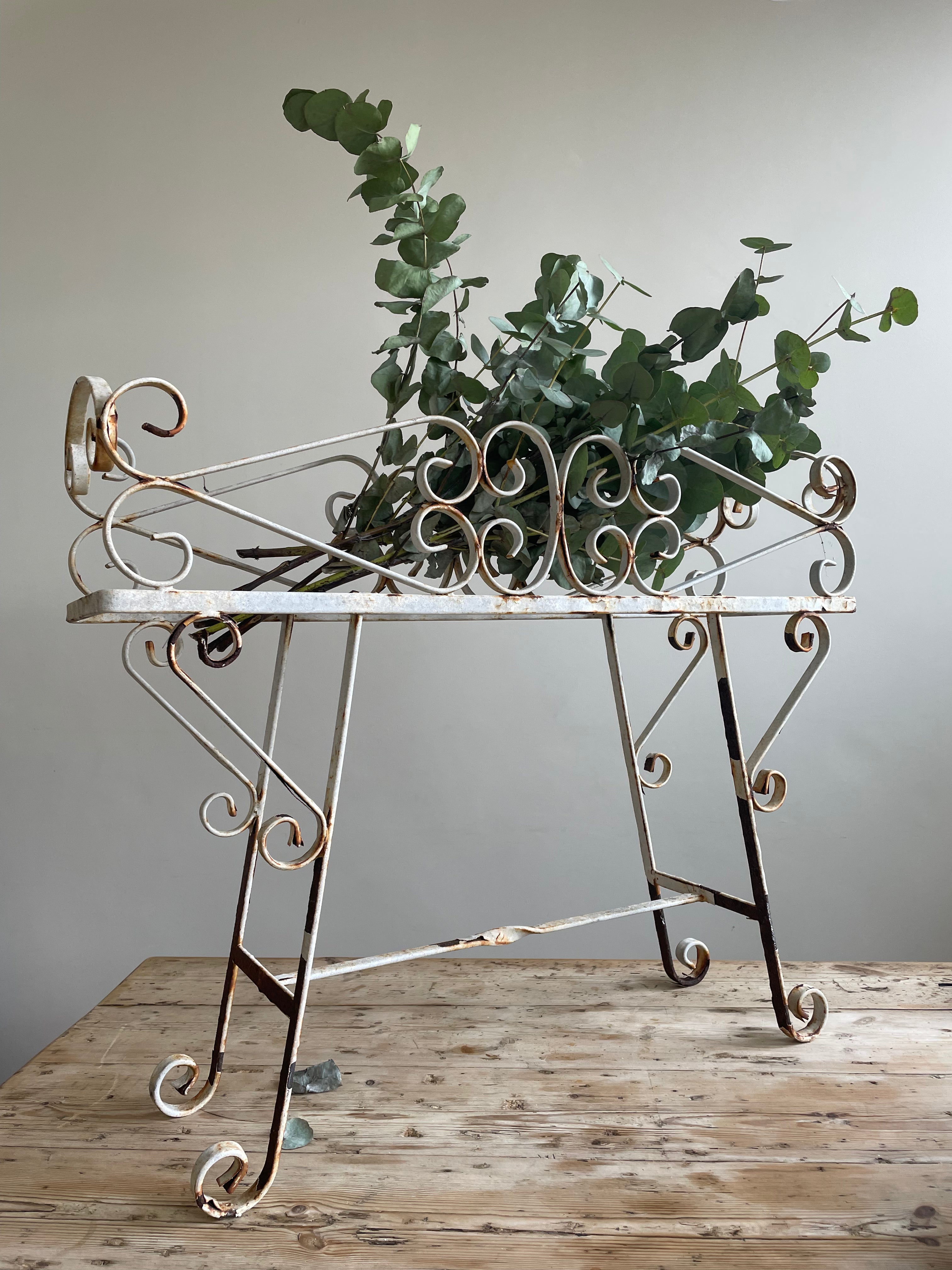 Long Wrought Iron Plant Stand