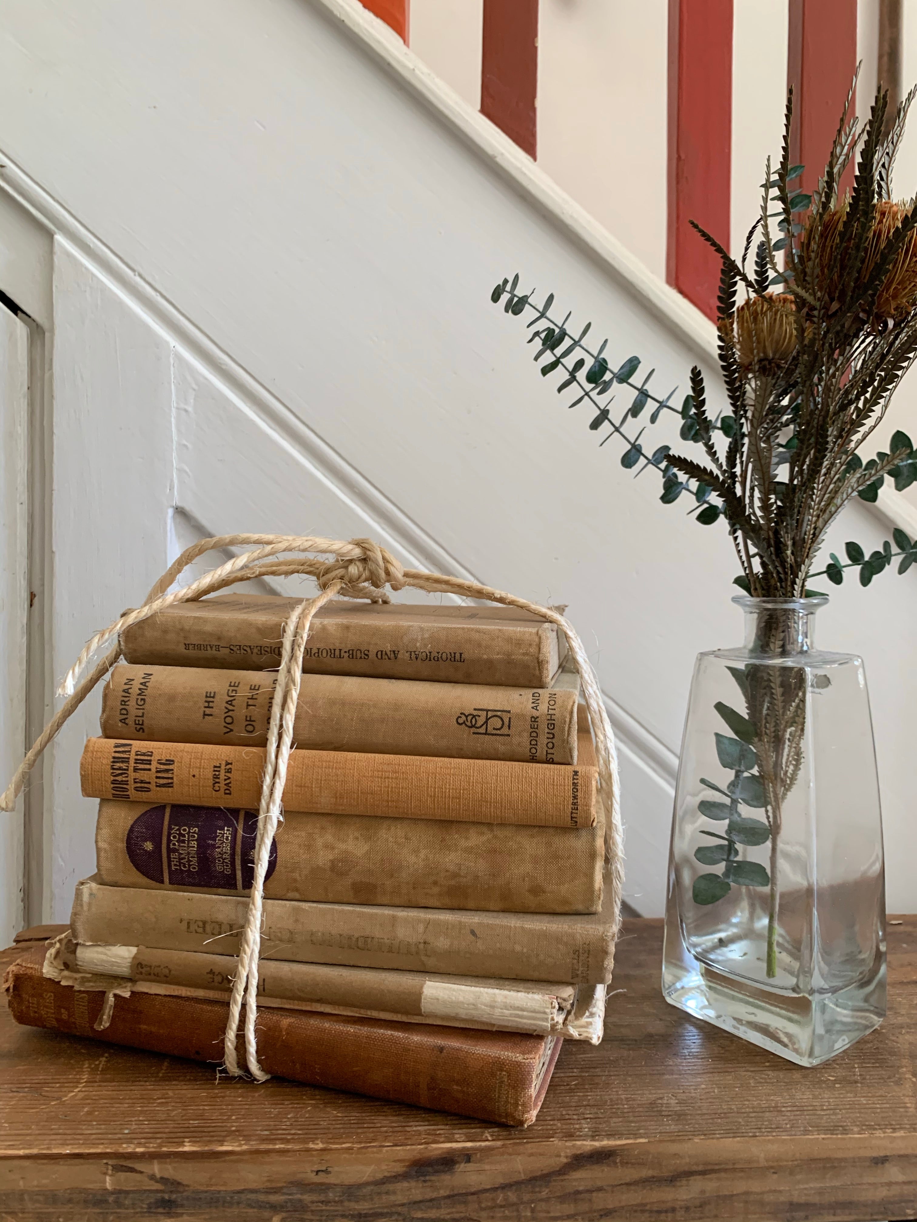 Beige Book Bundle