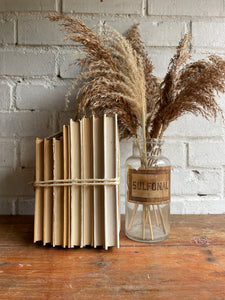 Beige Book Bundle