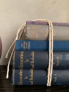 Blue Hues Book Bundle