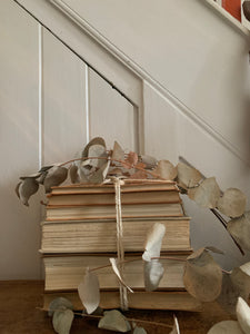 Beige and Orange Book Bundle