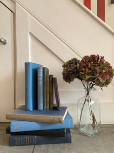 Set of 10 vintage books with blue covers